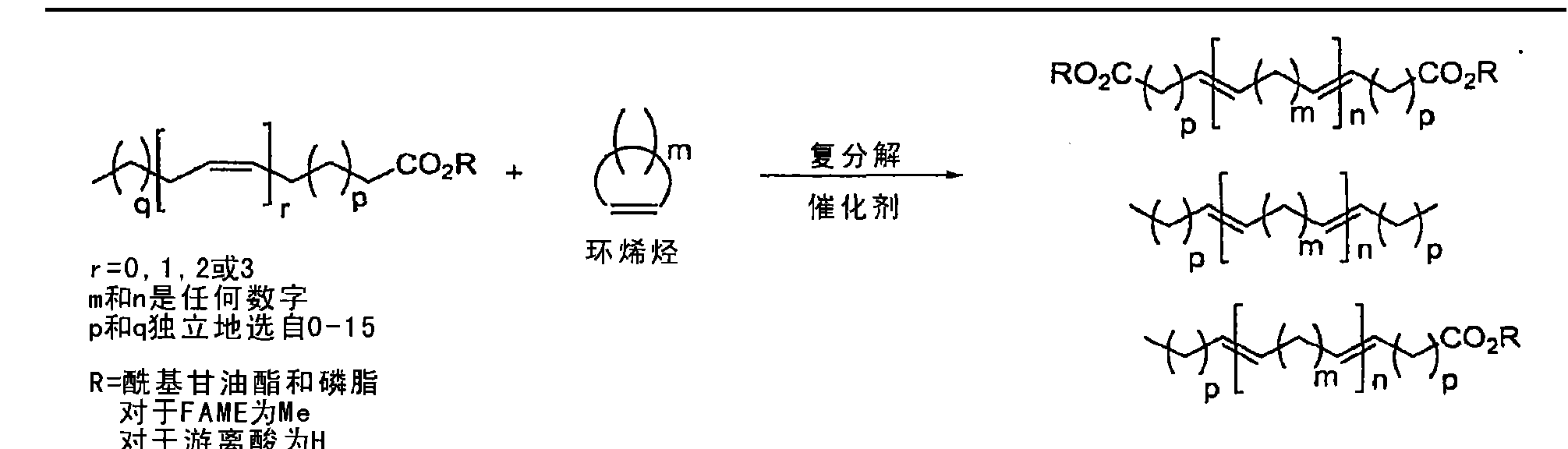 Metathesis of cyclic olefins