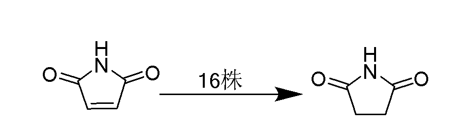 不对称三相电路电流相量图_电路图分享 不对称三相电路电流相量图