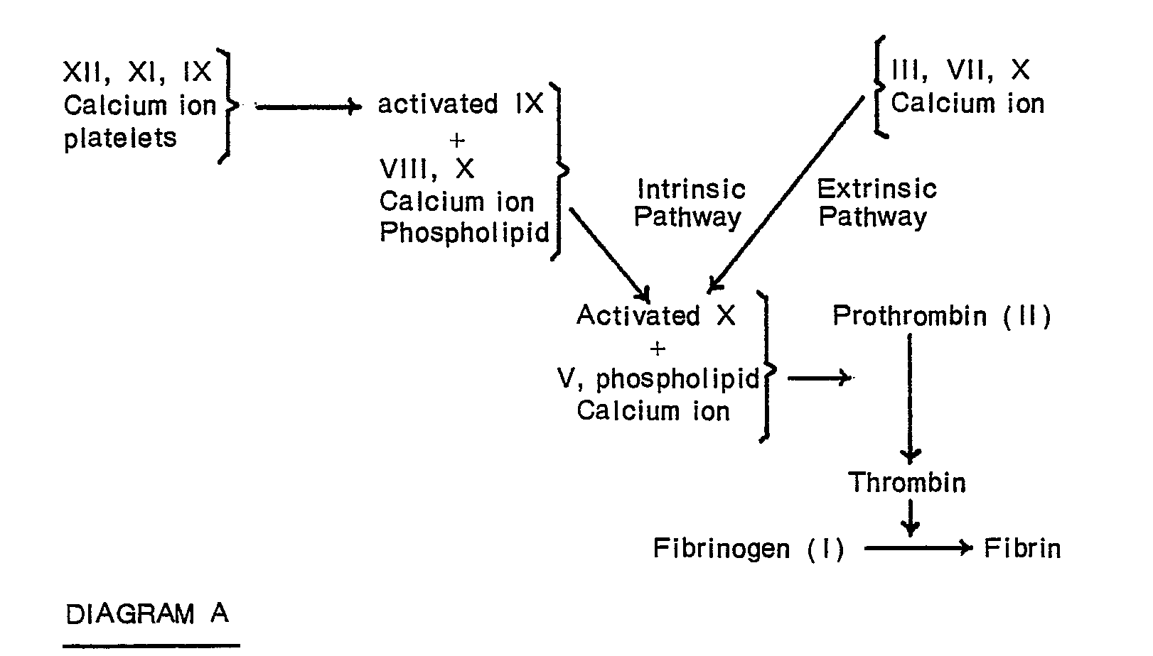 blood clotting mechanism diagram patent ep0014039b1 a method involving a one stage blood clotting mechanism diagram patent ep0014039b1 a method involving a one stage