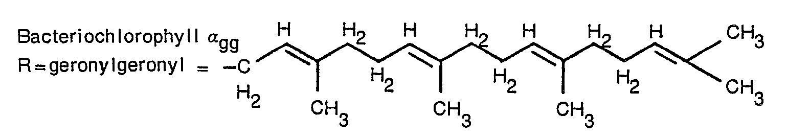 Viagra pdr