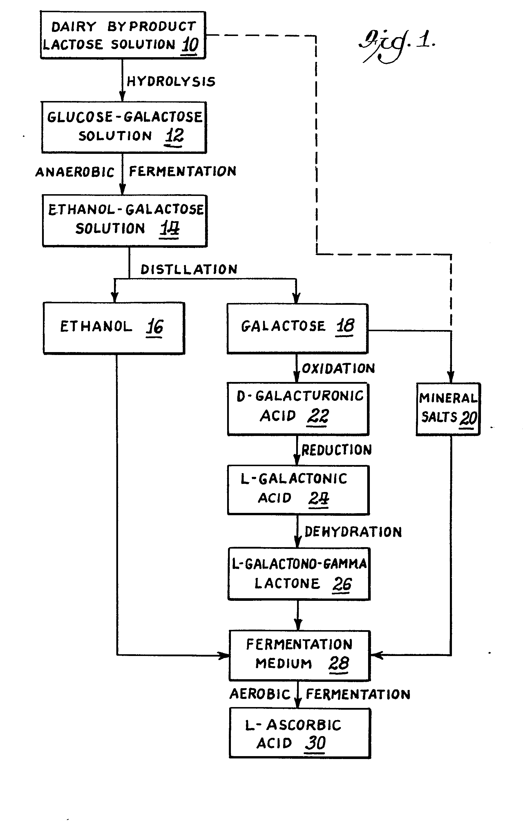 glycerol yield of candida magnoliae Glycerolysis of esters with candida antarctica lipase b in glycerol adi wolfson, eve yefet, tomer alon, christina dlugy (polyols), such as ethylene glycol and glycerol, improved the reaction yield (entry 6-8) in addition, while increasing. glycerol yield of candida magnoliae Glycerolysis of esters with candida antarctica lipase b in glycerol adi wolfson, eve yefet, tomer alon, christina dlugy (polyols), such as ethylene glycol and glycerol, improved the reaction yield (entry 6-8) in addition, while increasing.