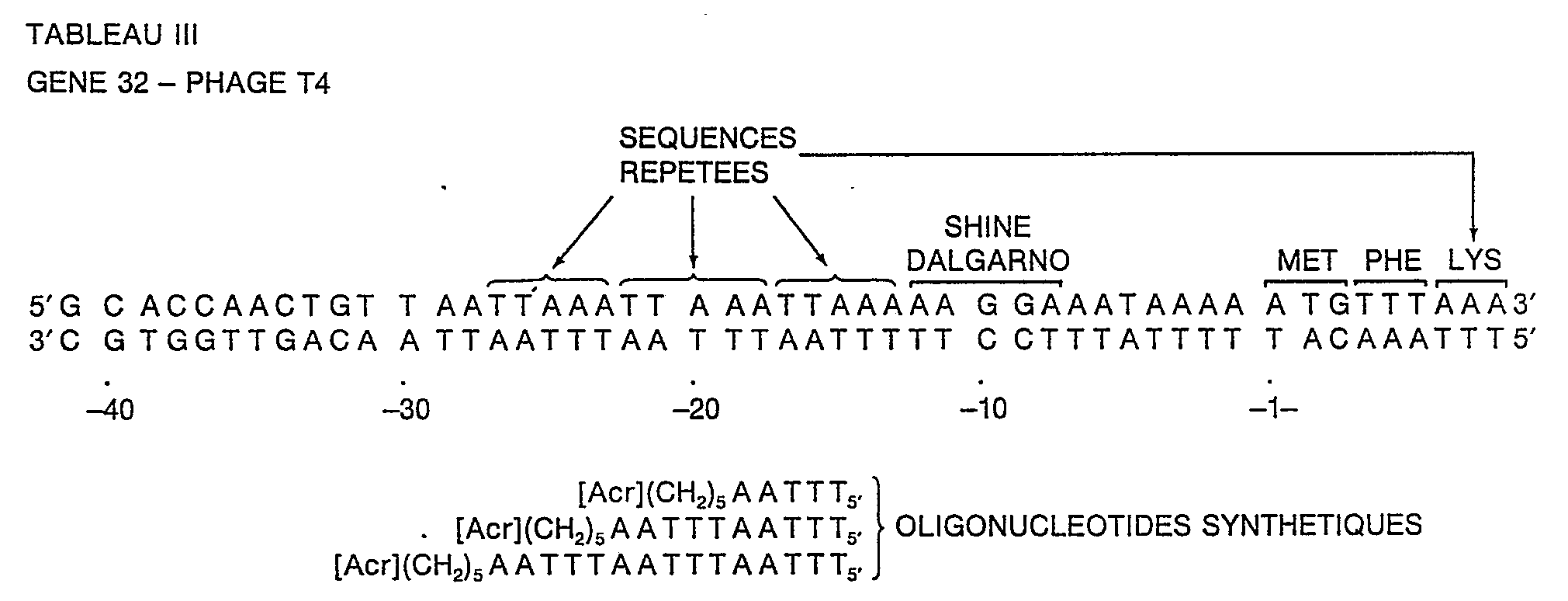 gene systhesis gene systhesis