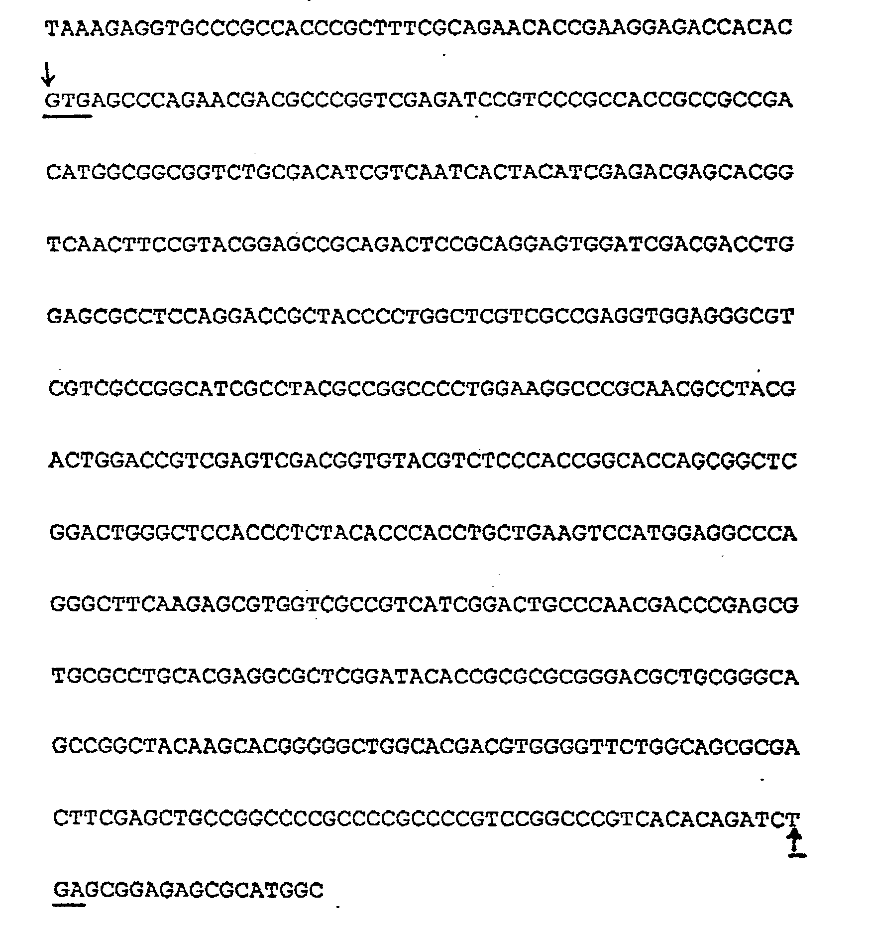 Patent EP0242246A1 Plant cells resistant to glutamine synthetase inhibitors, made by genetic Patent EP0242246A1 Plant cells resistant to glutamine synthetase inhibitors, made by genetic
