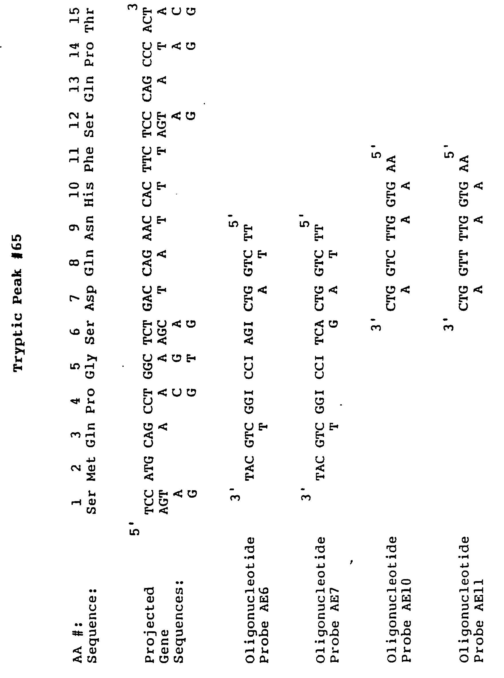 alpha amidating enzyme Amidation is accomplished through the sequential reaction of the two enzymes encoded by the single bifunctional, peptidylglycine α-amidating monooxygenase (pam or an α-amidating enzyme) pam catalyzes the formation of a peptide amide from peptide precursors that include a c-terminal glycine, and requires copper. alpha amidating enzyme Amidation is accomplished through the sequential reaction of the two enzymes encoded by the single bifunctional, peptidylglycine α-amidating monooxygenase (pam or an α-amidating enzyme) pam catalyzes the formation of a peptide amide from peptide precursors that include a c-terminal glycine, and requires copper.