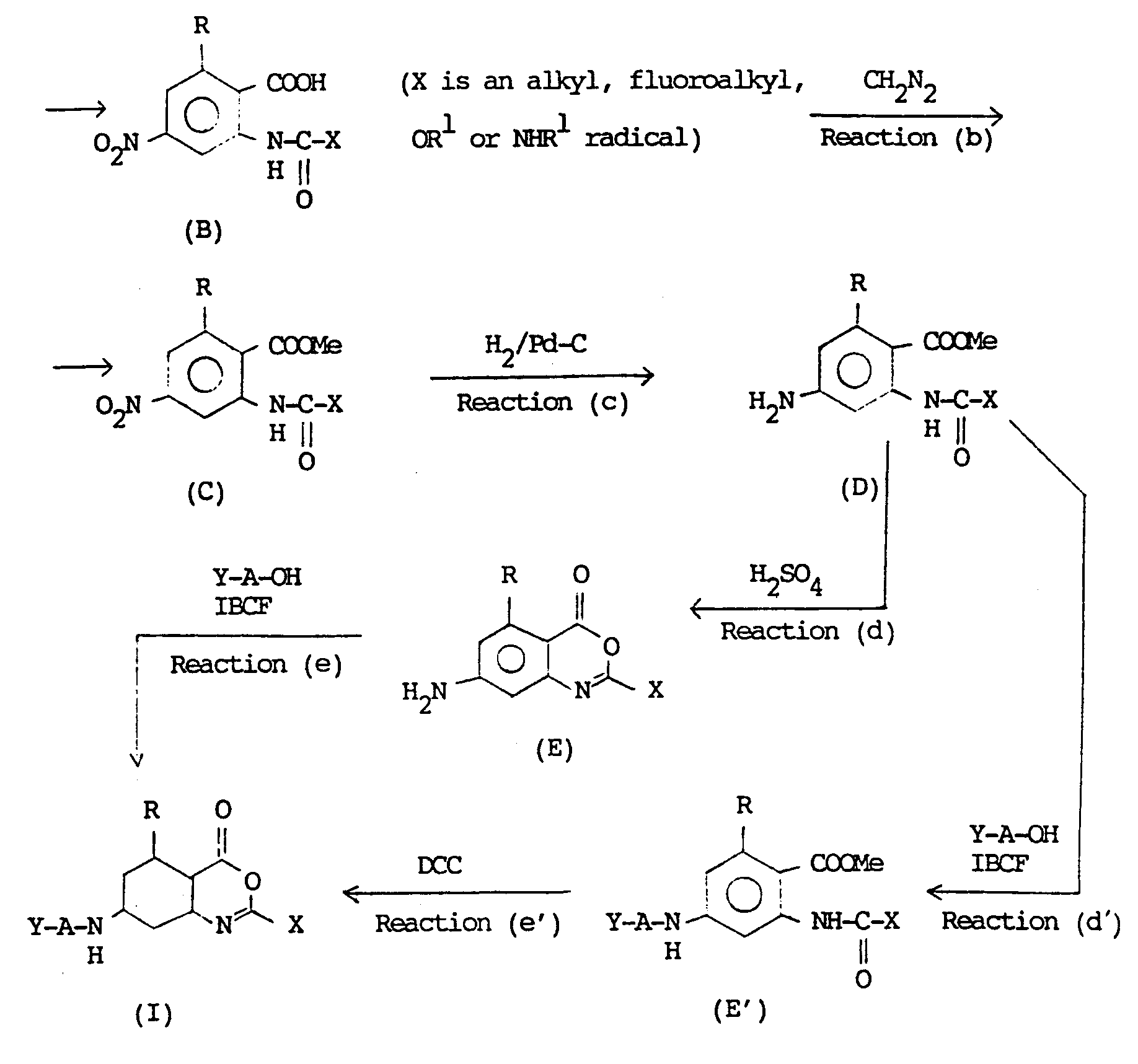 oxalic acid formula
