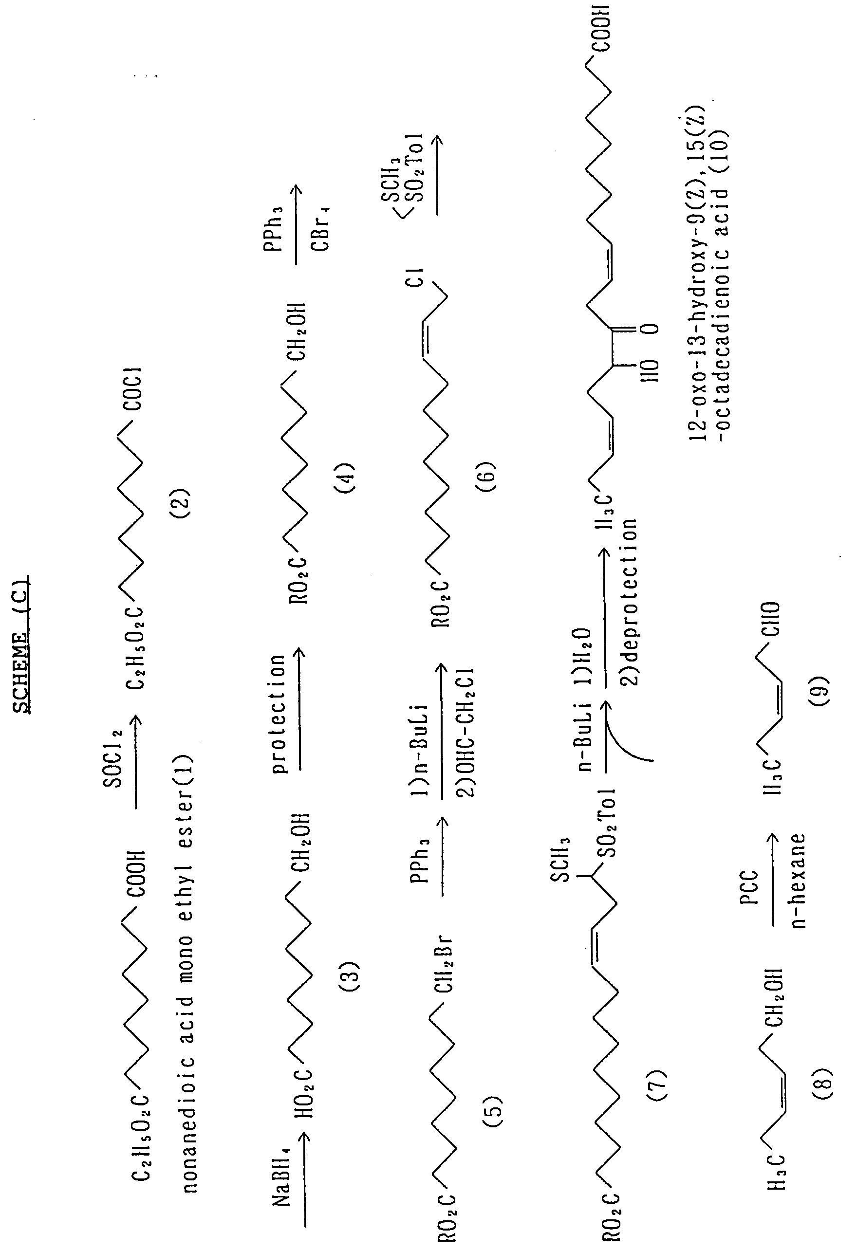 Lfg2000 analytical essay