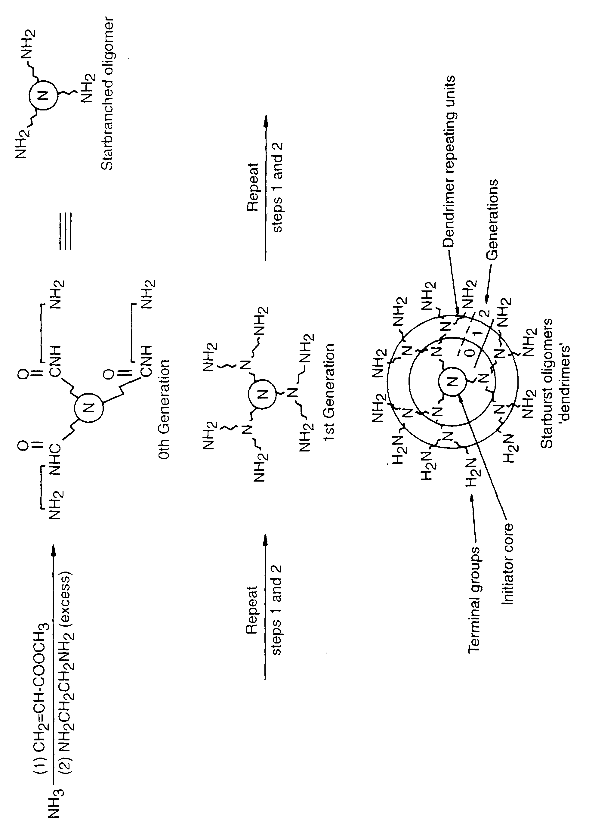 gradable antonyms,inflectional morpheme cleansing compositions with dendrimers as mildness agents