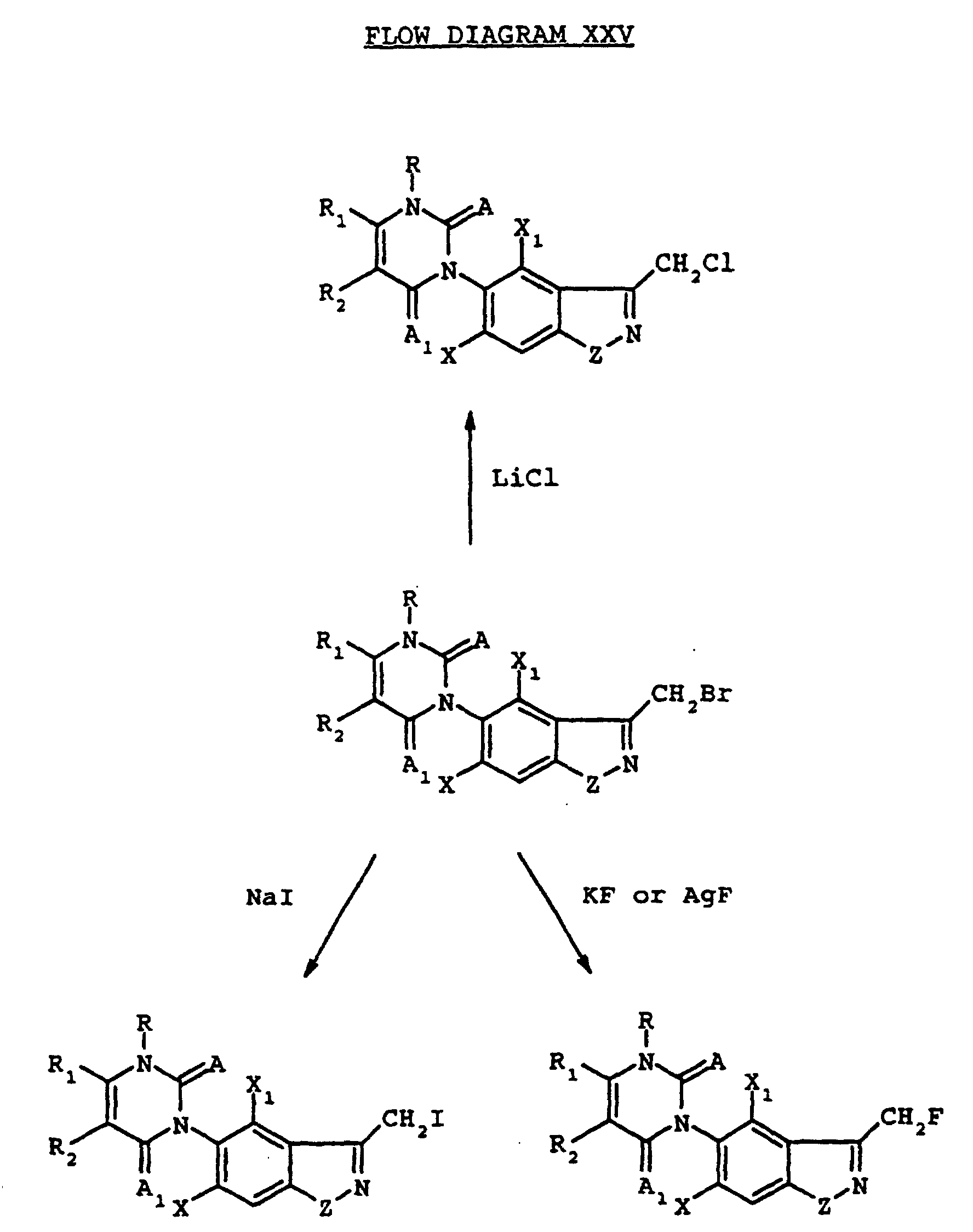 H2o2 Lewis Structure How To Draw The Dot Structure For