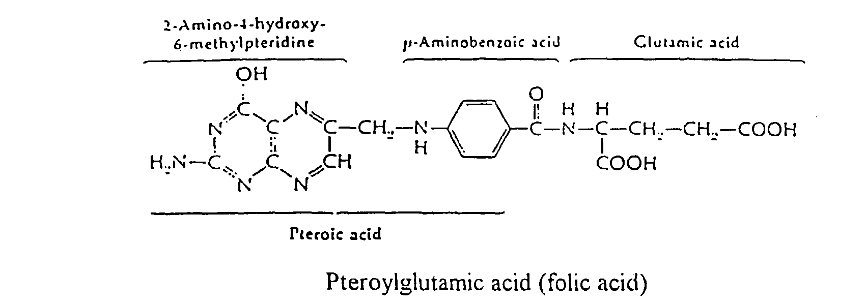 Methotrexate Hair Loss Folic Acid