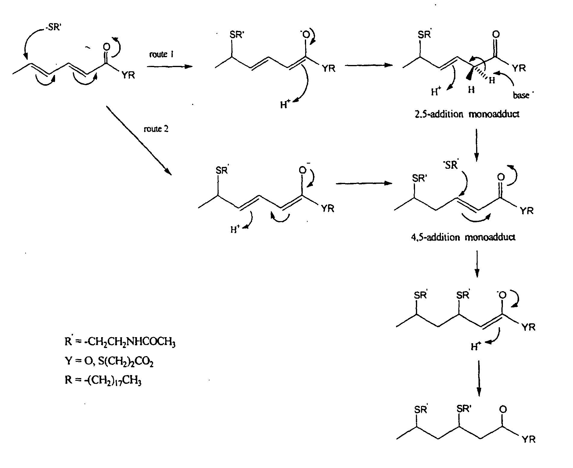 benzocaine synthesis mechanism benzocaine synthesis mechanism