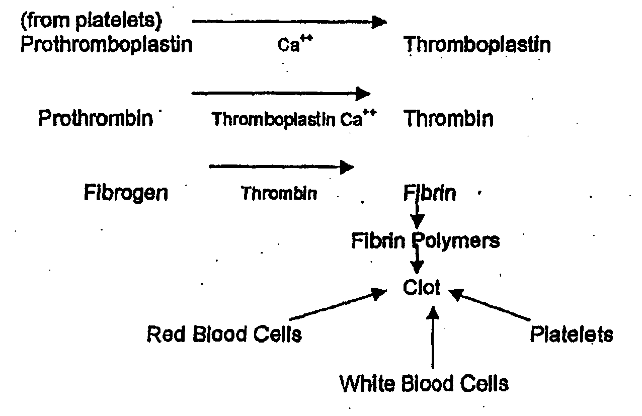 mechanism of blood clotting flowchart ep1276463b1 hemostatic method and carrier for mechanism of blood clotting flowchart ep1276463b1 hemostatic method and carrier for