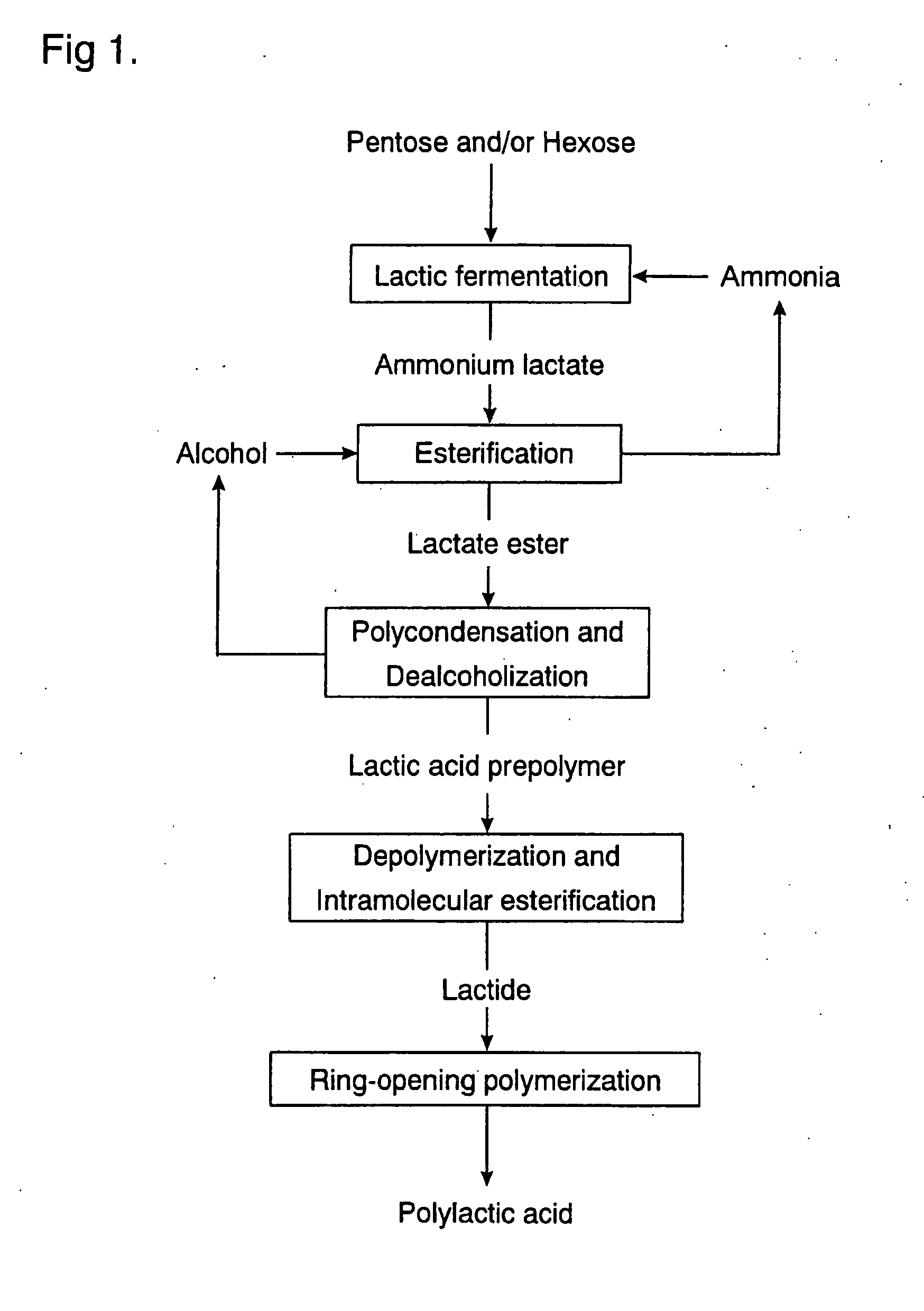 synthesise polylactic synthesise polylactic