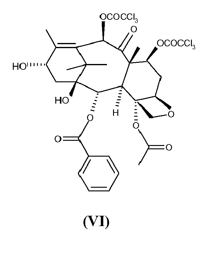 holton taxol semisynthesis holton taxol semisynthesis
