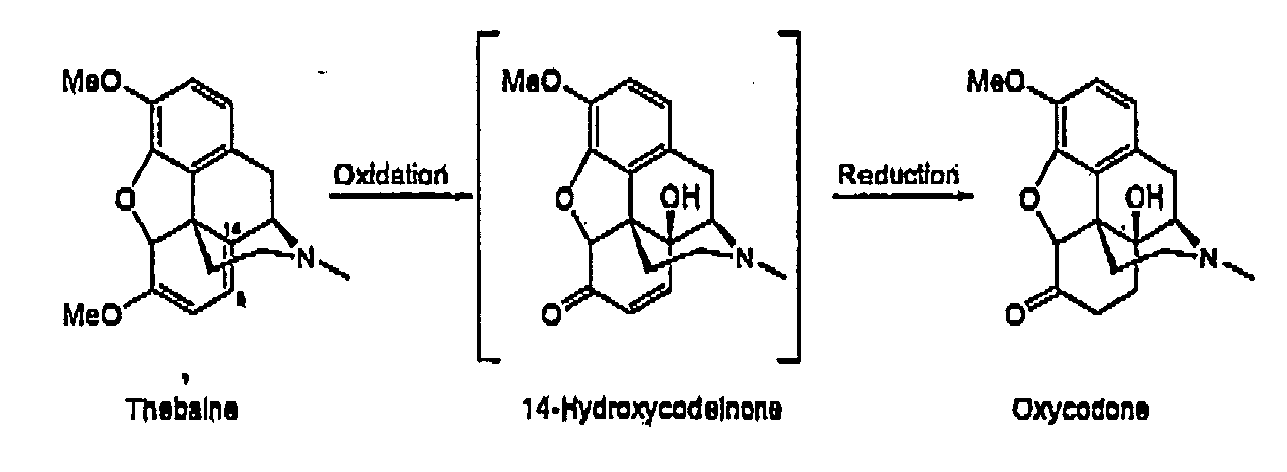 synthesising oxycodone synthesising oxycodone