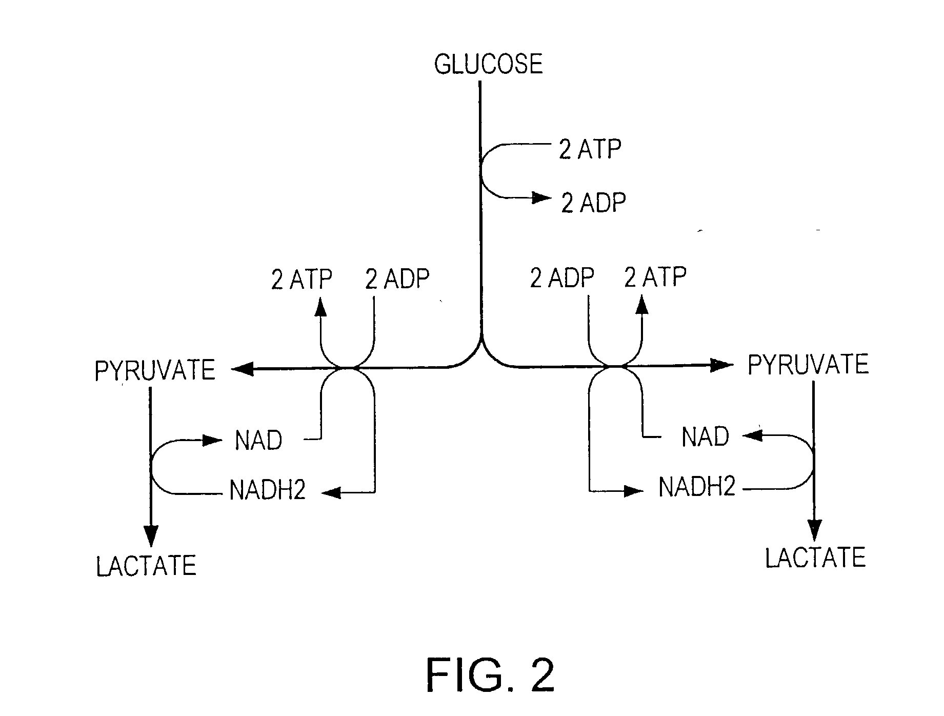method production of ethanol from banana Pulp and paper making by using waste banana stem banana pseudo-stem cleaner production passed to soxhlet extraction with mixture of ethanol and. method production of ethanol from banana Pulp and paper making by using waste banana stem banana pseudo-stem cleaner production passed to soxhlet extraction with mixture of ethanol and.