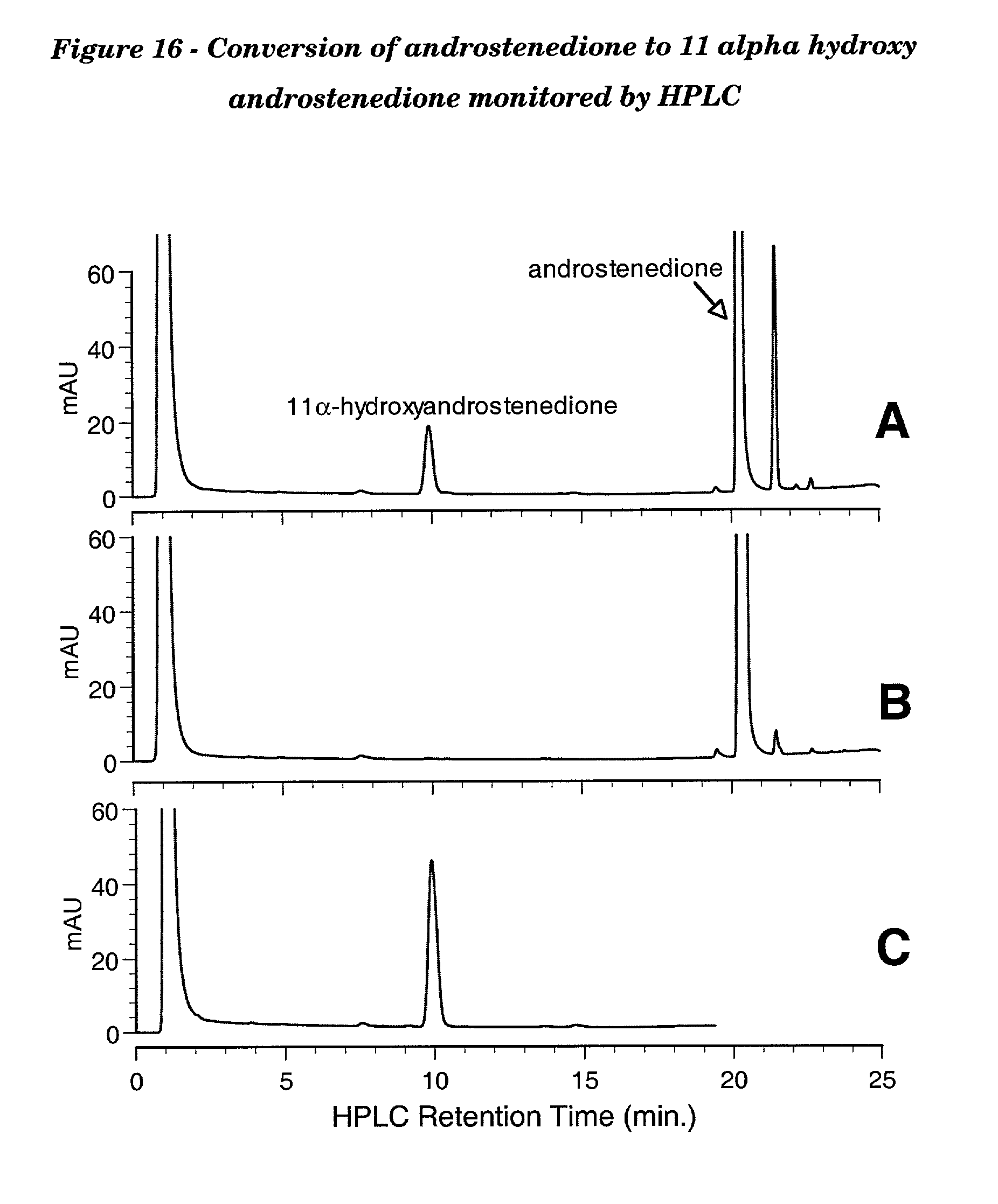 One Alpha Hydroxylase