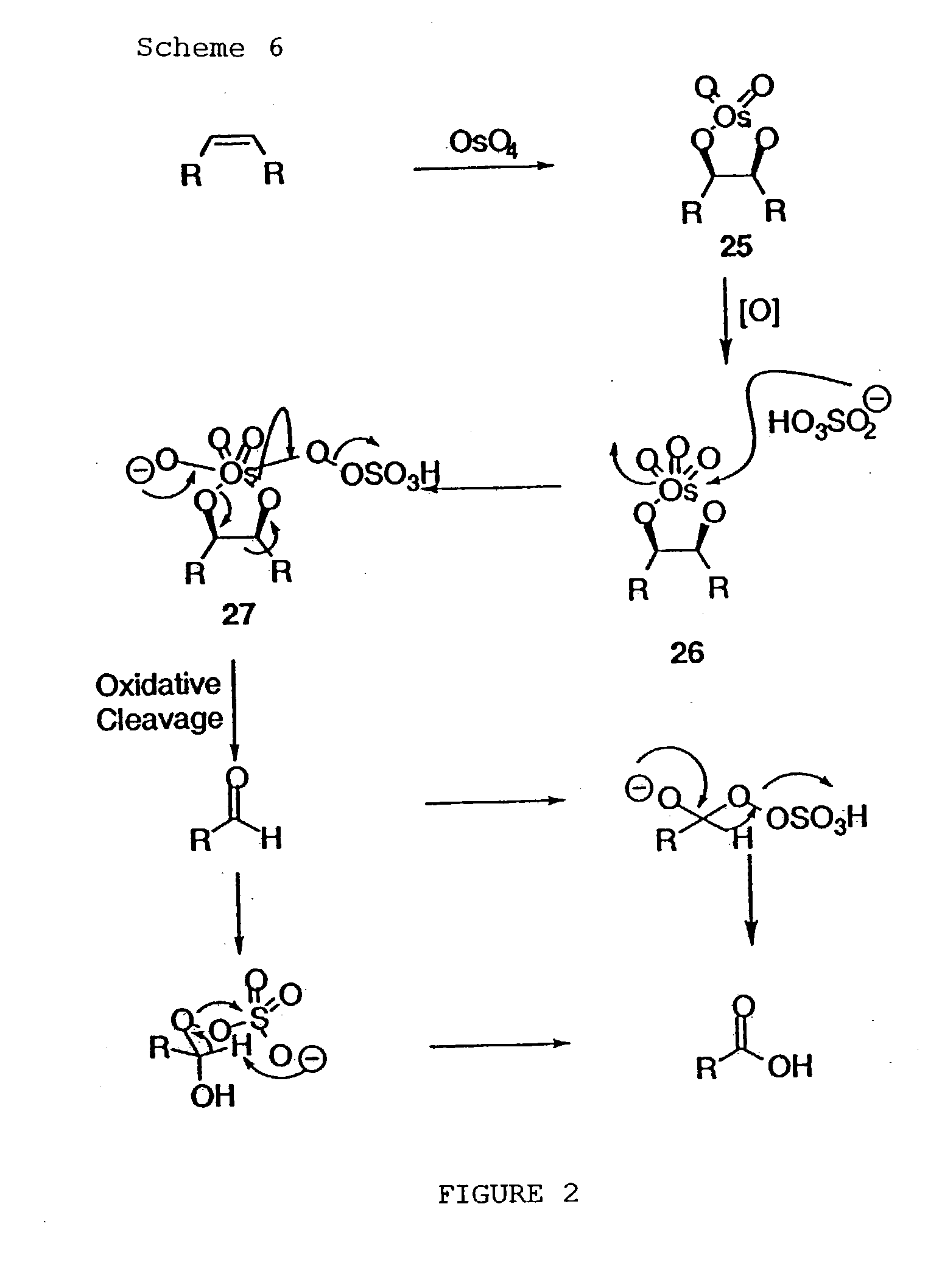 Schrock olefin metathesis mechanism