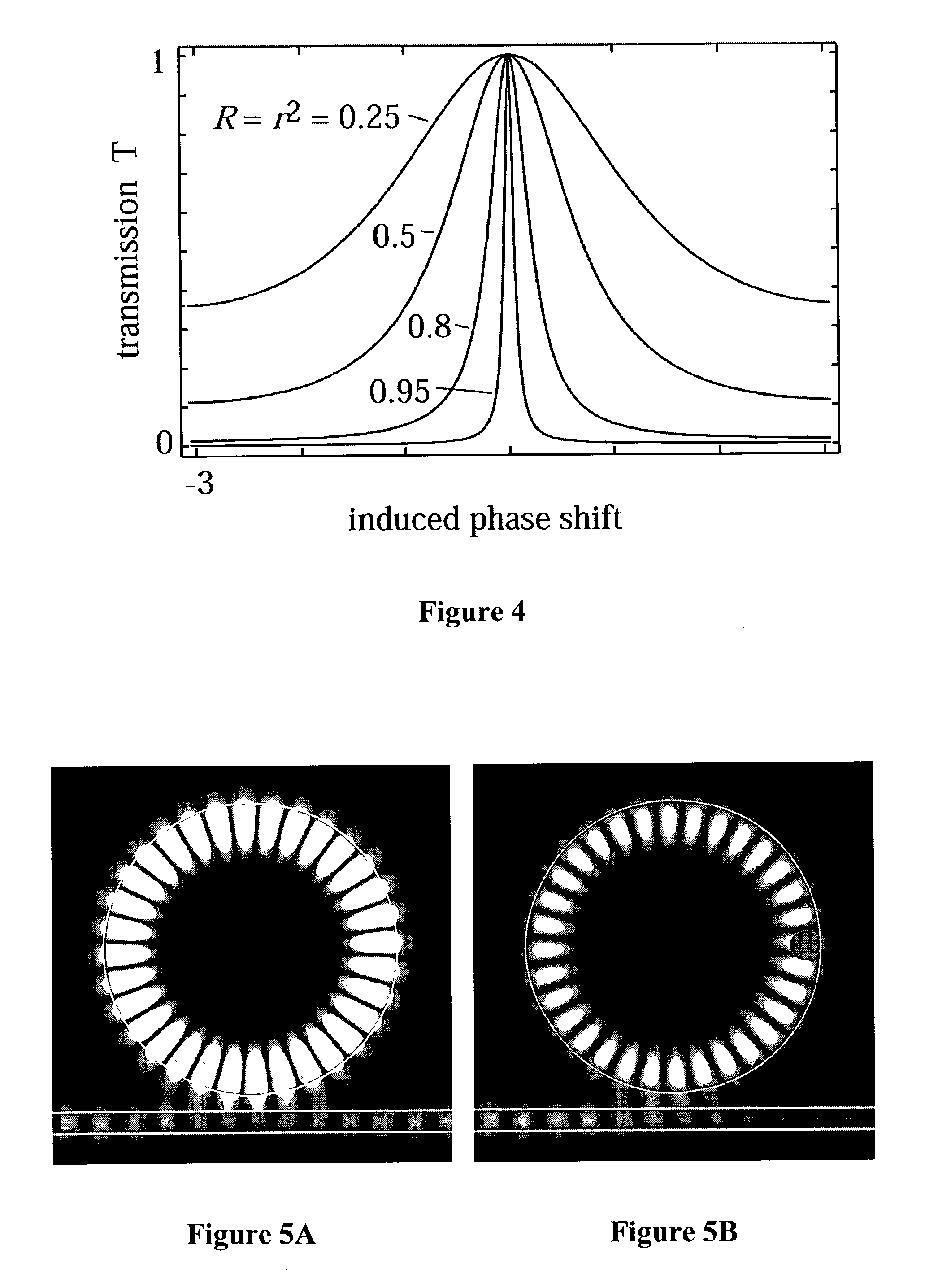 Ring Resonator Biosensor Ring Resonator Biosensor