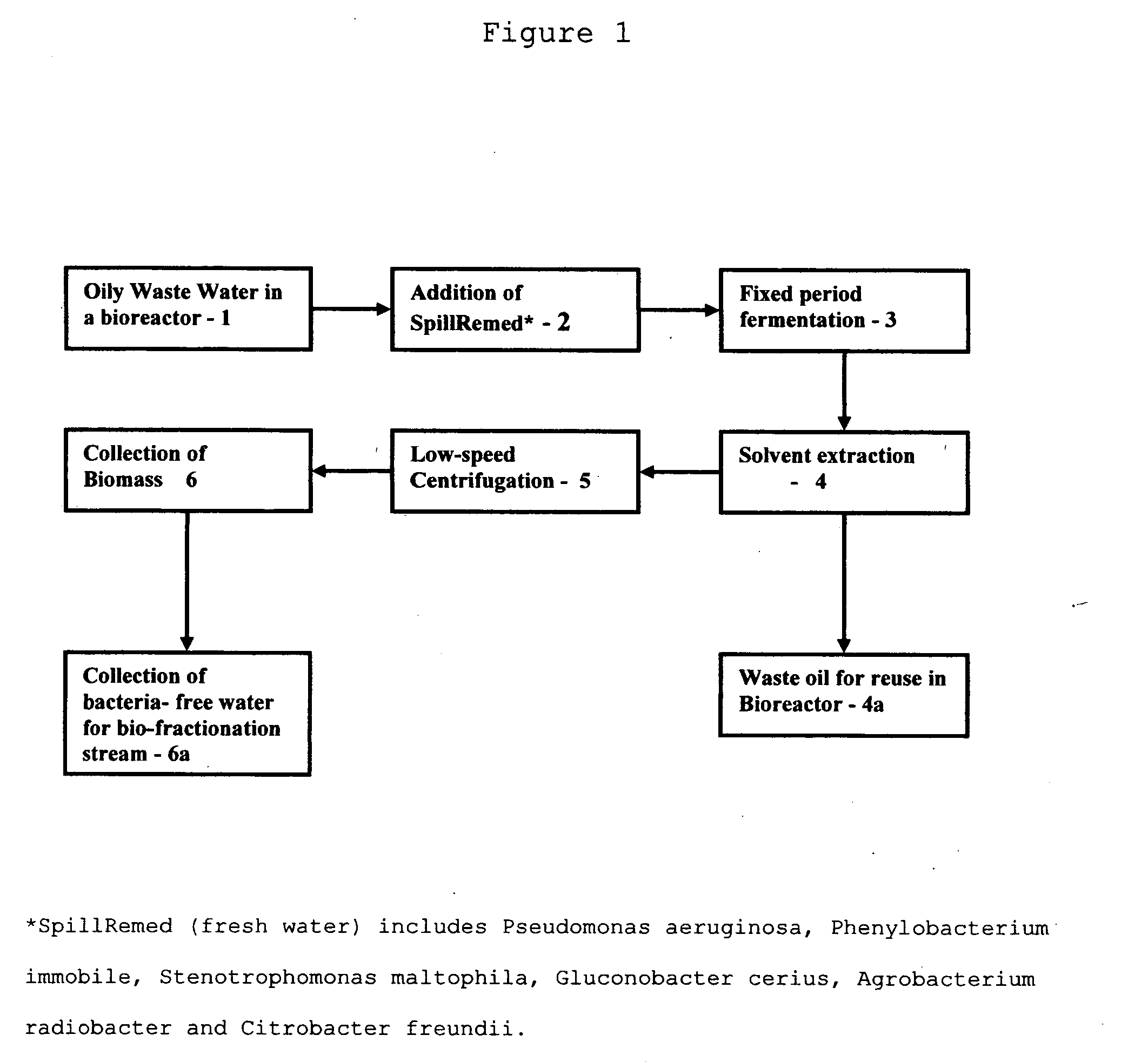 flowchart of how proteins are made in the cell flowchart of how proteins are made in the cell flowchart flowchart of how proteins are made in the cell flowchart of how proteins are made in the cell flowchart