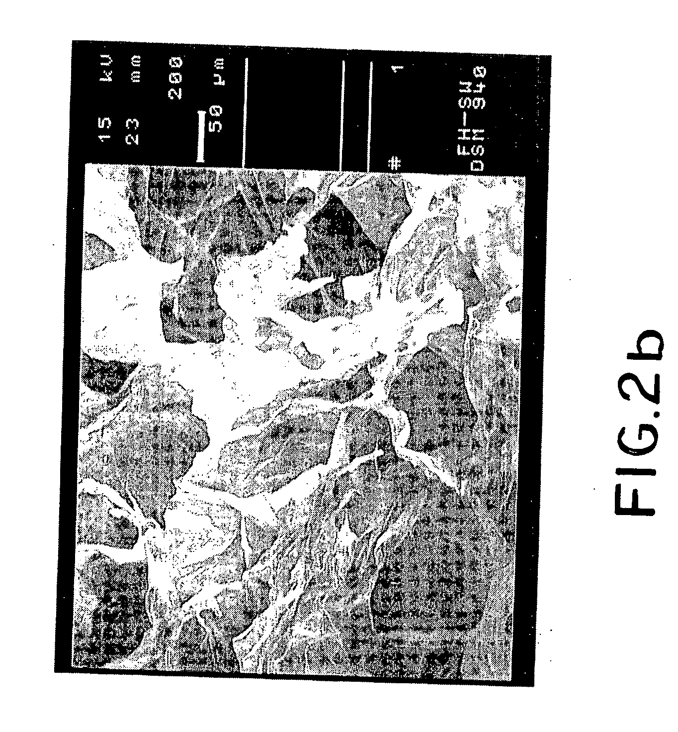 An Inorganic Compound Used As Building Material In The Body An Inorganic Compound Used As Building Material In The Body