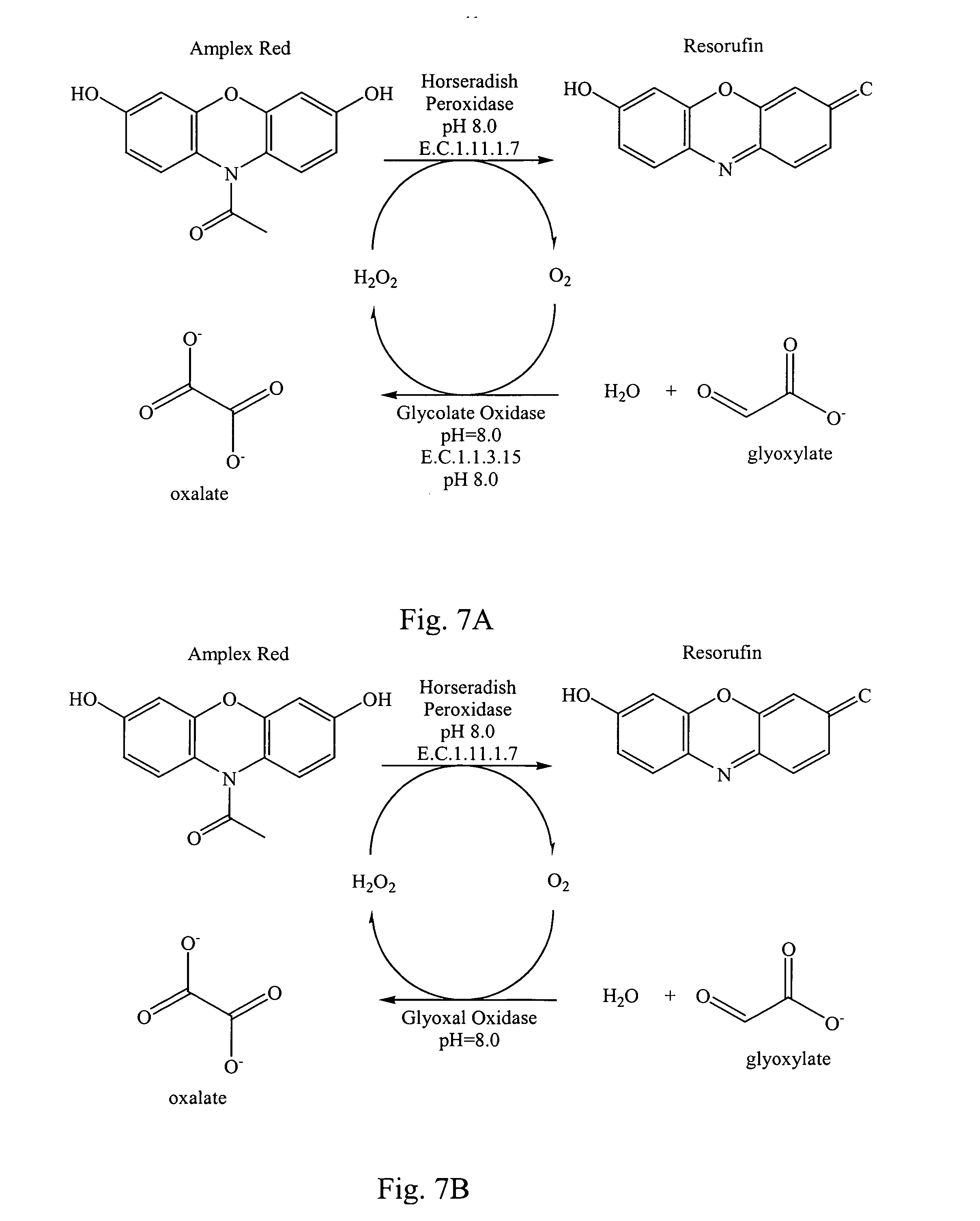 peptidylglycine alpha amidating enzyme Enzyme entry: ec 114173 pam peptidyl alpha-amidating enzyme peptidylglycine 2-hydroxylase peptidylglycine alpha-amidating monooxygenase. peptidylglycine alpha amidating enzyme Enzyme entry: ec 114173 pam peptidyl alpha-amidating enzyme peptidylglycine 2-hydroxylase peptidylglycine alpha-amidating monooxygenase.
