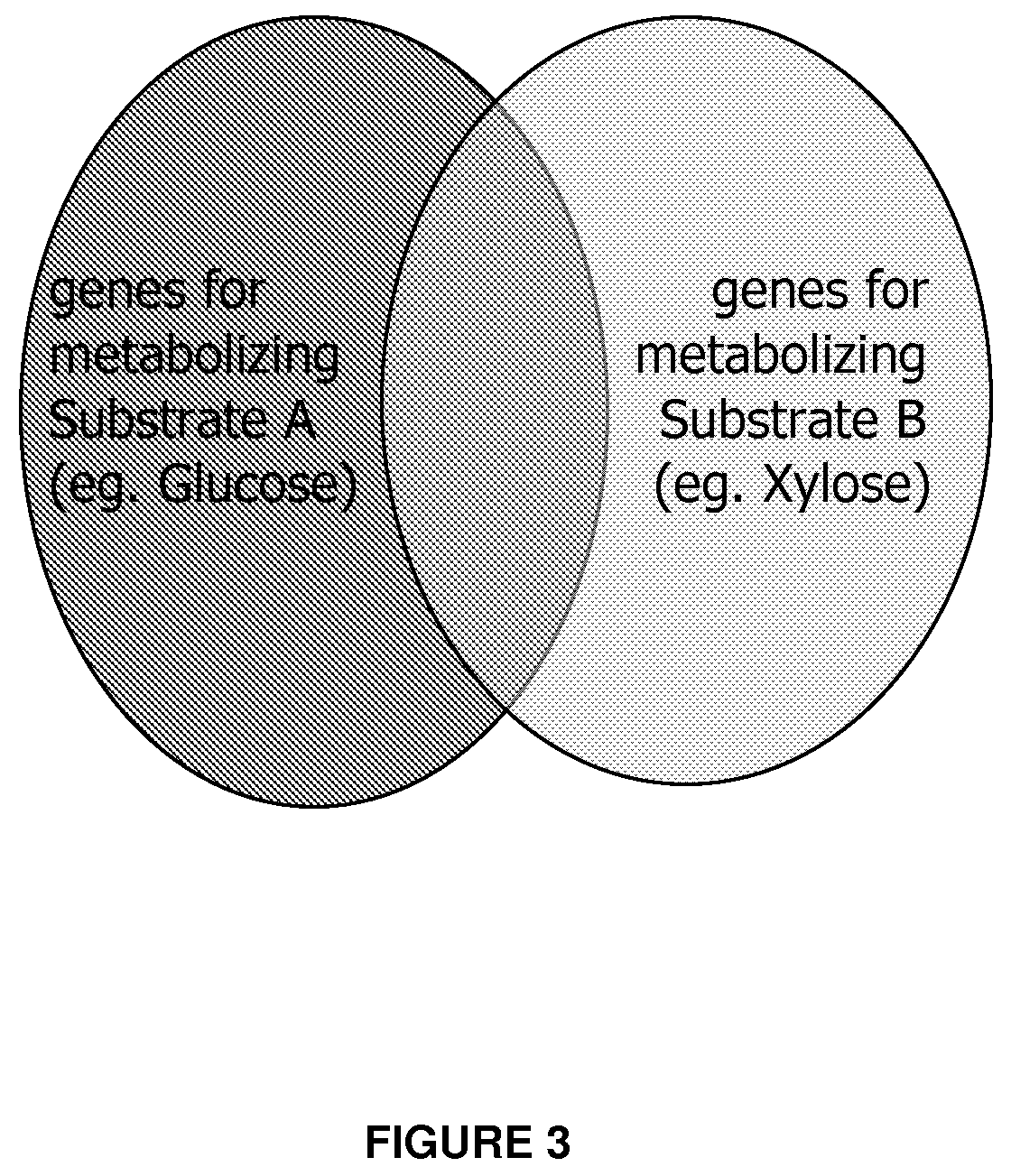 archaebacteria and eubacteria venn diagram rome fontanacountryinn com archaebacteria and eubacteria venn diagram