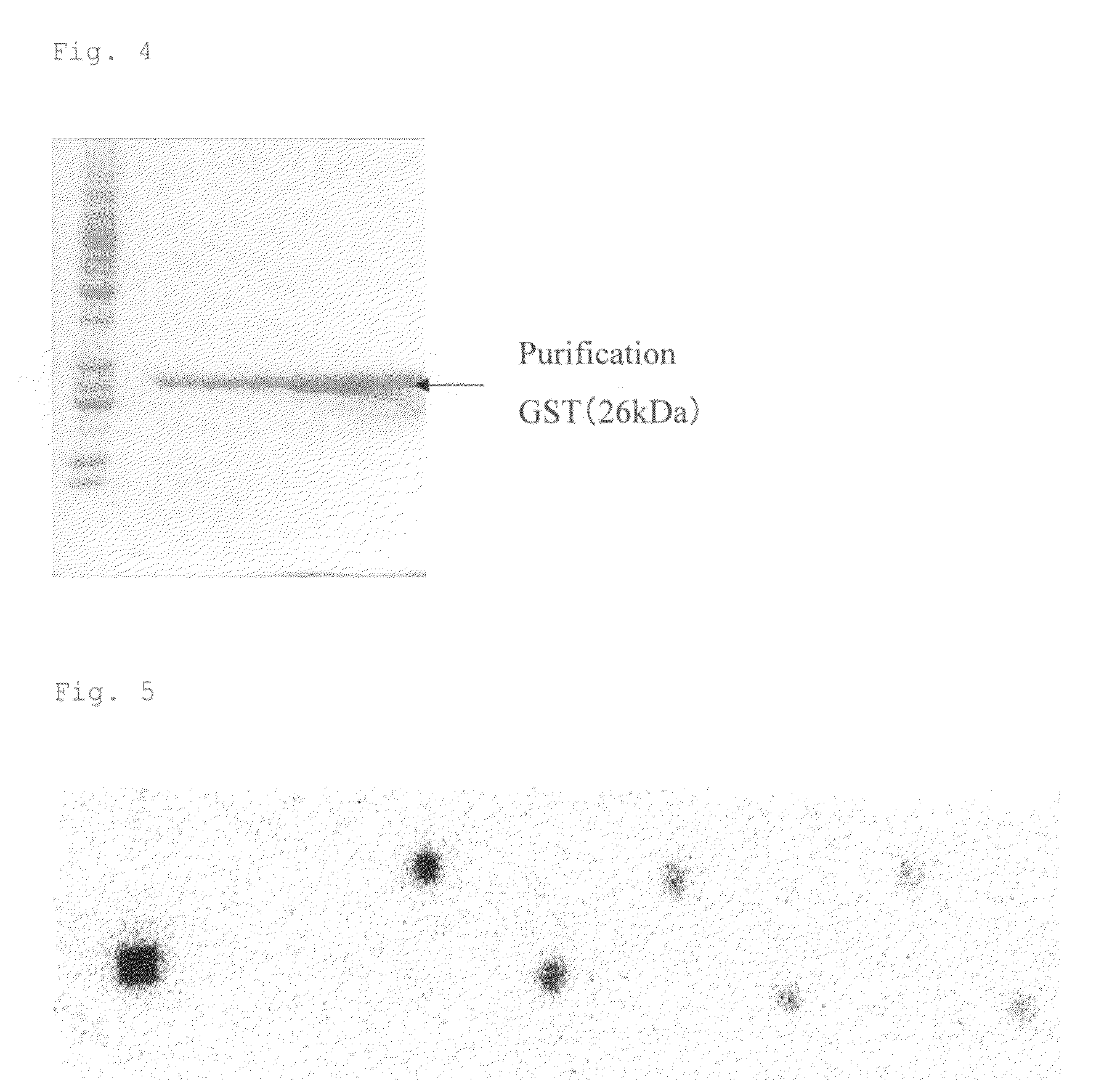 a portion of a specific dna molecule consists of the following sequence of nucleotide trpilets A portion of a specific dna molecule consists of the following sequence of nucleotide trpilets dna dna, or deoxyribonucleic acid, is described, in encarta. a portion of a specific dna molecule consists of the following sequence of nucleotide trpilets A portion of a specific dna molecule consists of the following sequence of nucleotide trpilets dna dna, or deoxyribonucleic acid, is described, in encarta.