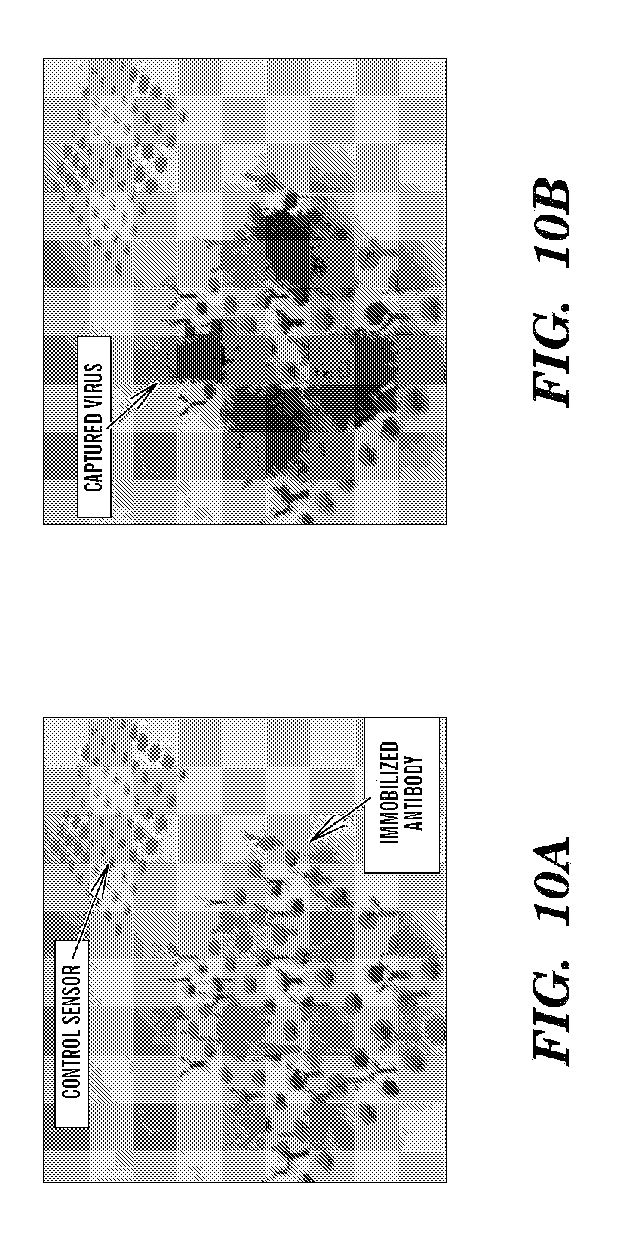 nanostructure optical biosensors Nanostructured materials for optical biosensing upm-isom 2- nanopillar array biosensors 21 su-8 nanopillars we have fabricated periodic lattices of su-8 resist nano-pillars on both. nanostructure optical biosensors Nanostructured materials for optical biosensing upm-isom 2- nanopillar array biosensors 21 su-8 nanopillars we have fabricated periodic lattices of su-8 resist nano-pillars on both.