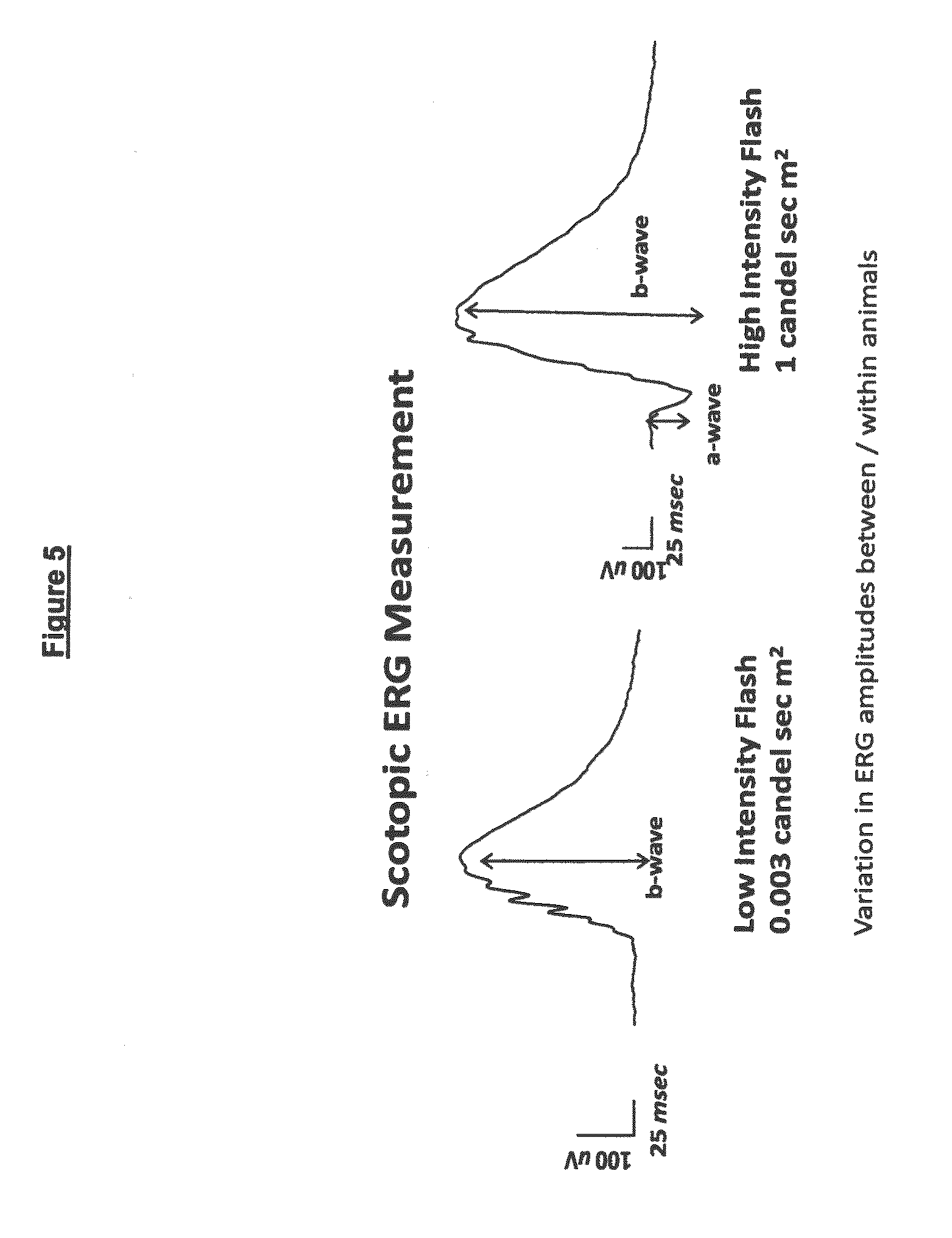midamor cost pred forte ophthalmic suspension price