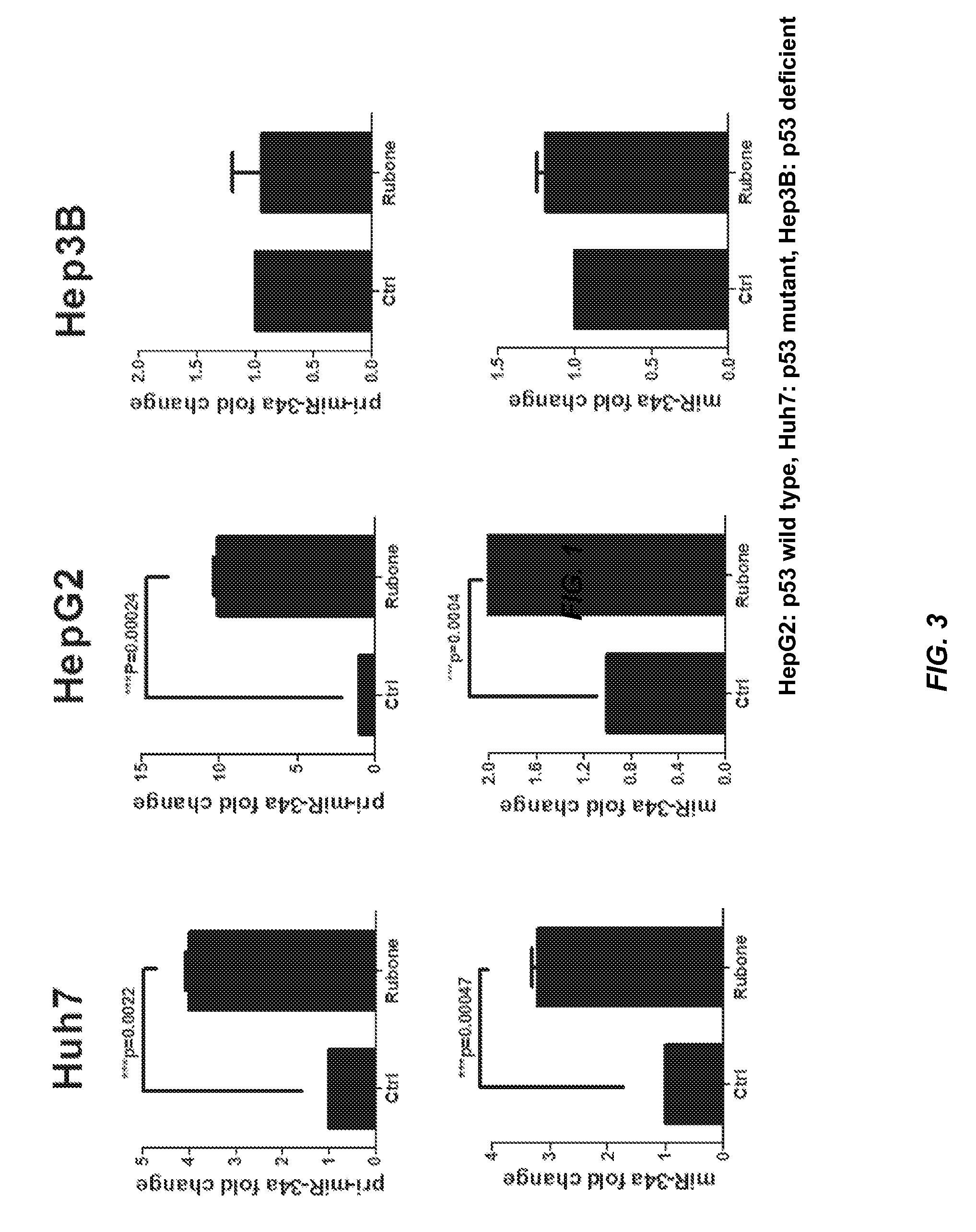 amoxicillin suspension after reconstitution storage amoxicillin suspension after reconstitution storage