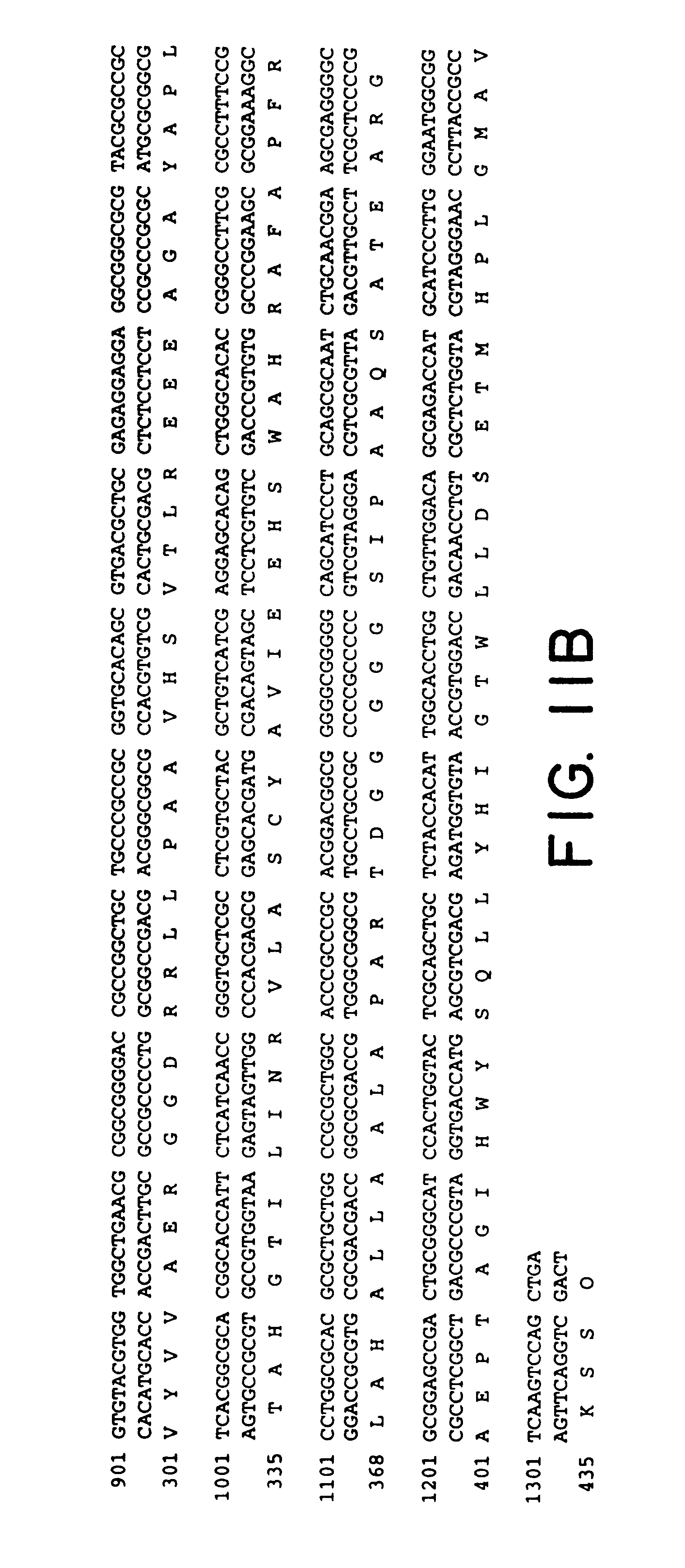 the study of neuronal differentiation and function in response to ngf Neural development refers to the that neural differentiation is the default number of sources contribute to neuronal survival nerve growth factor. the study of neuronal differentiation and function in response to ngf Neural development refers to the that neural differentiation is the default number of sources contribute to neuronal survival nerve growth factor.