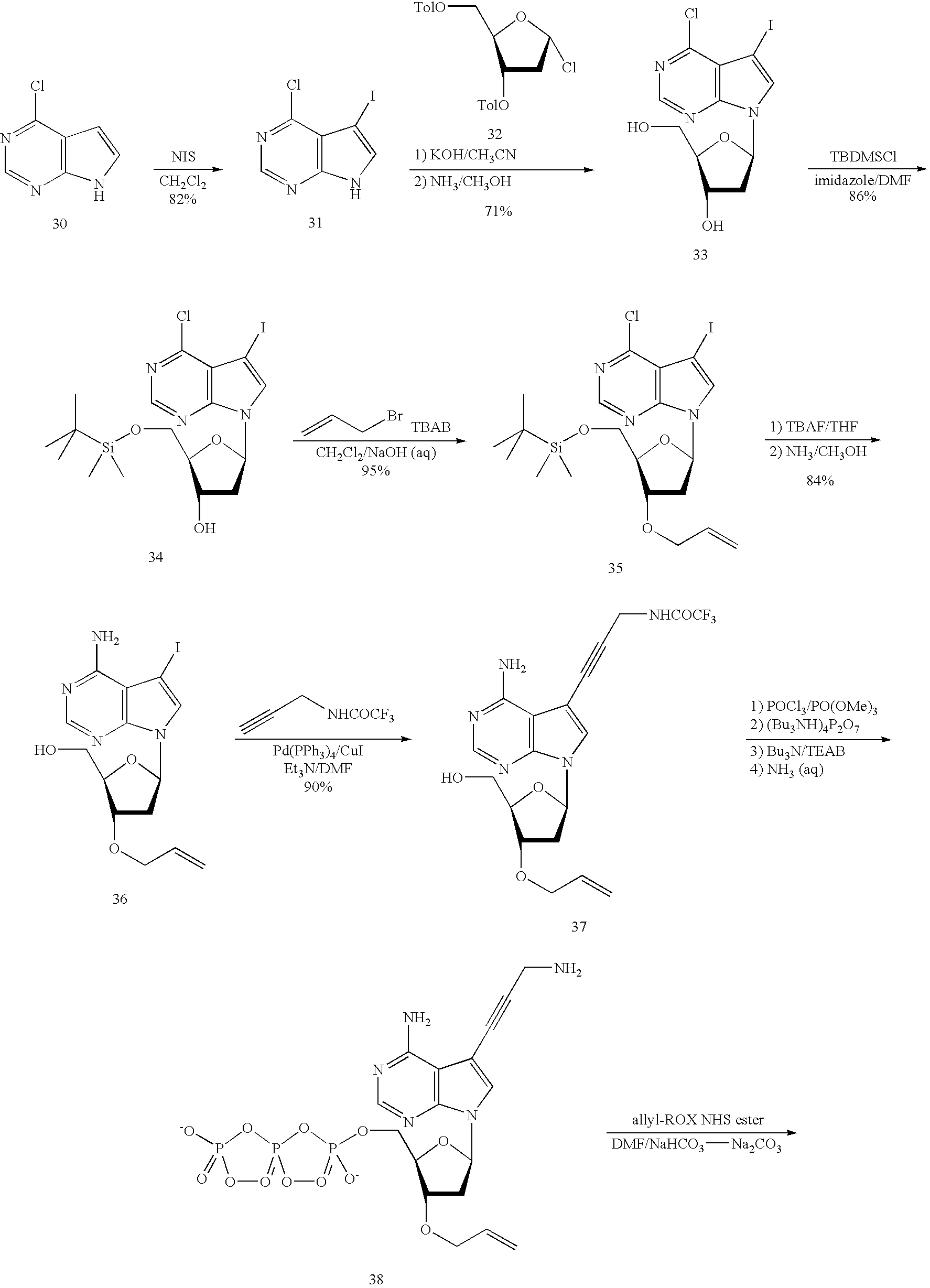 Coloring Pages Dna Replication Coloring Pages Dna Replication