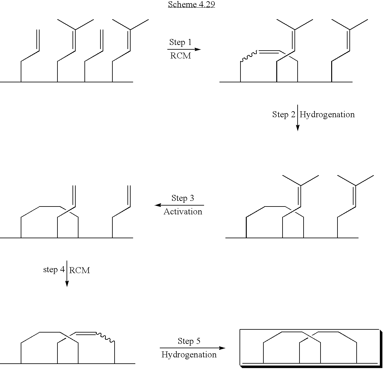 Trisubstituted olefin metathesis