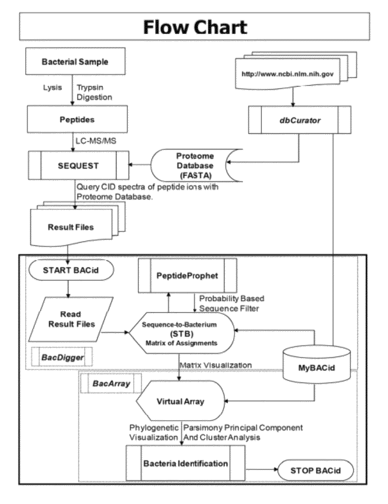 microorganism identification flowchart bacterial identification diagram images how to guide and microorganism identification flowchart bacterial identification diagram images how to guide and