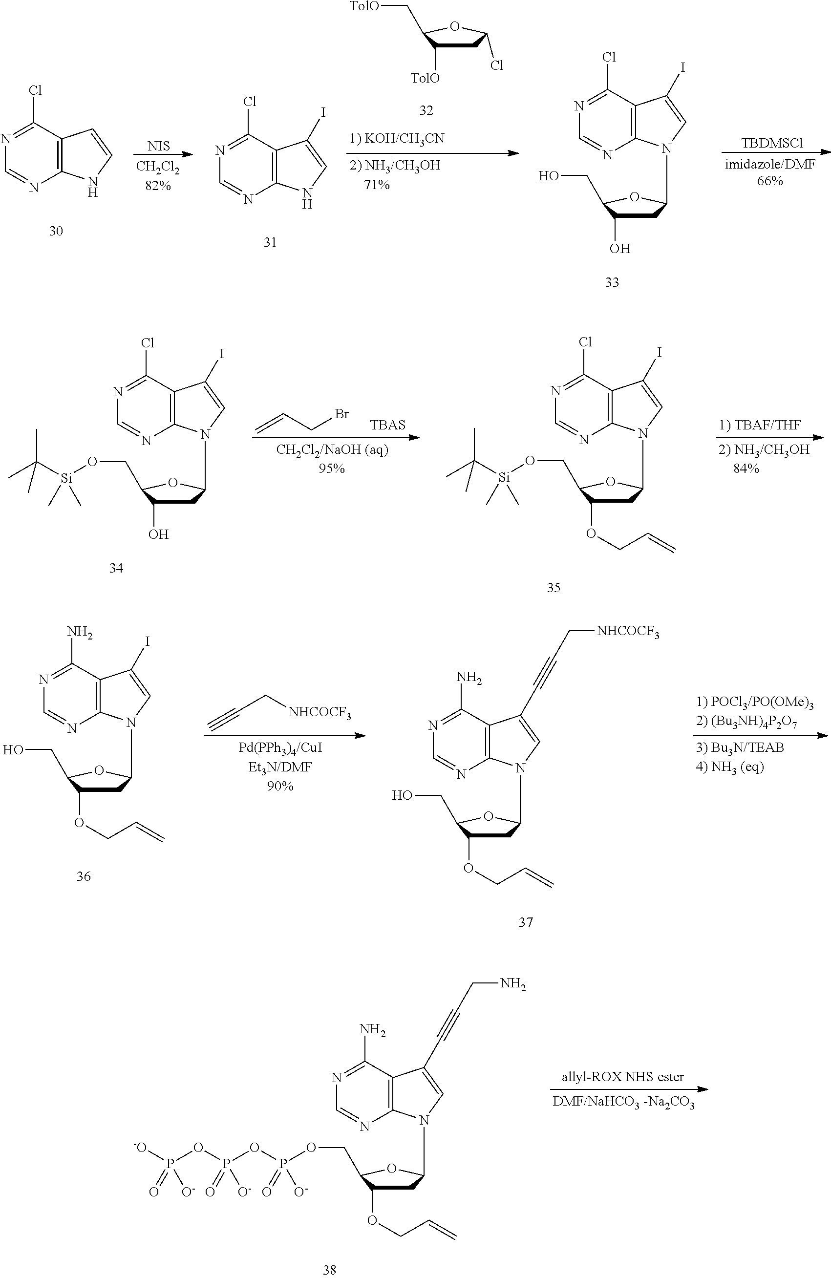 Coloring Pages Dna Replication Coloring Pages Dna Replication