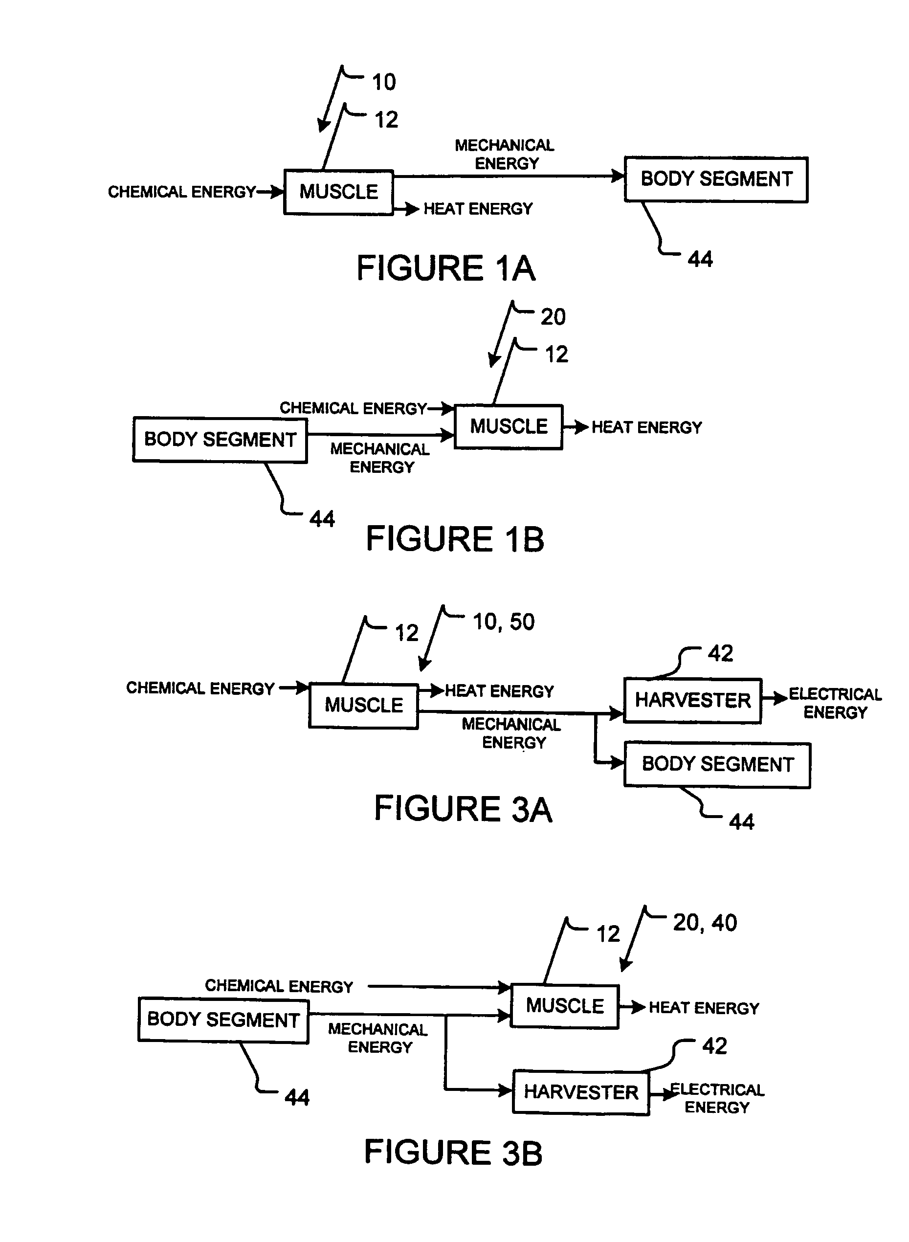 biomechanical mechanism for energy harvesting from Nanogenerator for harvesting mechanical energy, such as from breathing or from the our group5 based on a similar mechanism and design. biomechanical mechanism for energy harvesting from Nanogenerator for harvesting mechanical energy, such as from breathing or from the our group5 based on a similar mechanism and design.