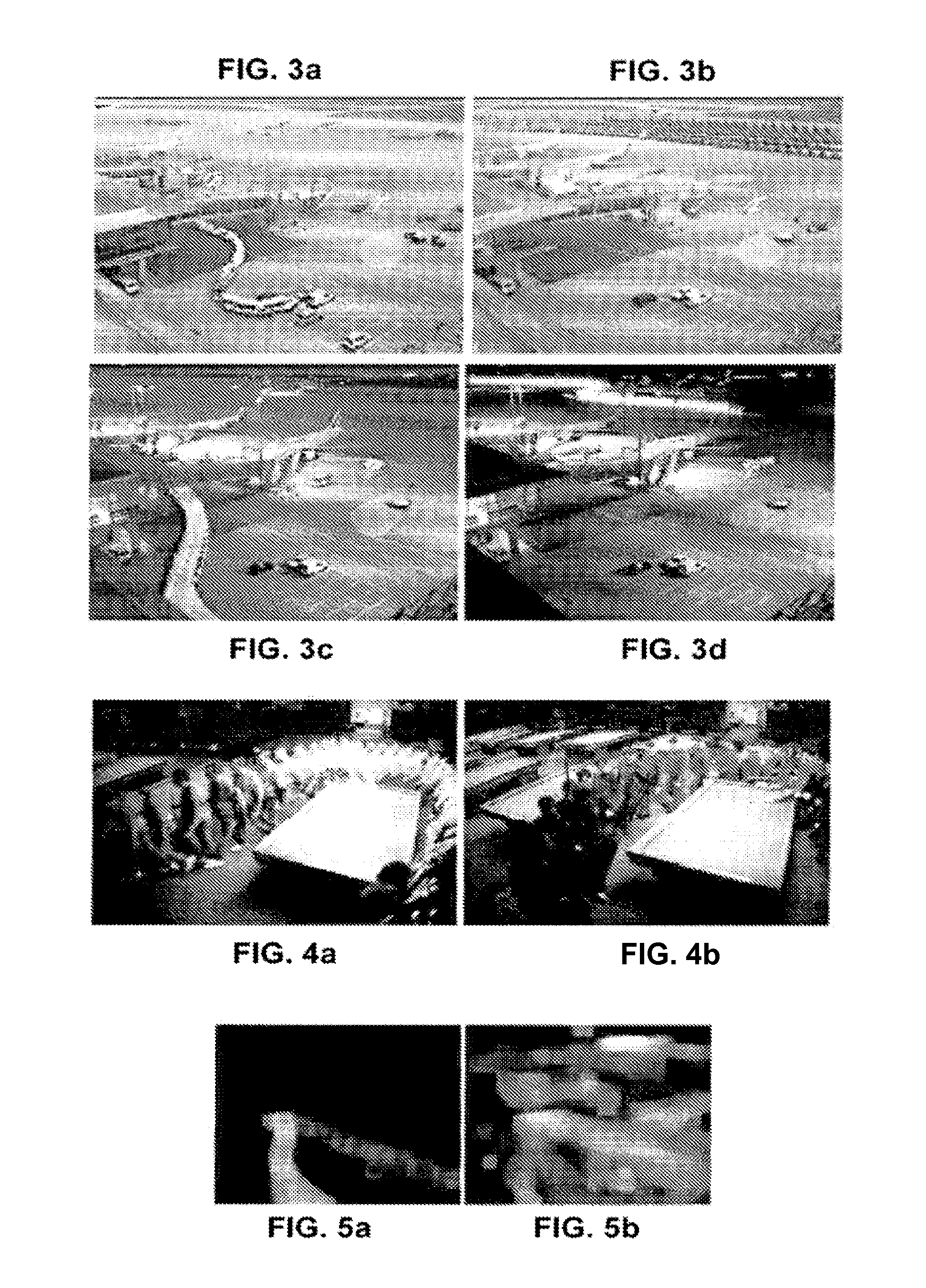 google synopsis An interesting fact in the history of google is that in september 2005, google made a new partnership with a very interesting company - nasa this involved building a 1-million square foot research and development centre at nasa's ames research center. google synopsis An interesting fact in the history of google is that in september 2005, google made a new partnership with a very interesting company - nasa this involved building a 1-million square foot research and development centre at nasa's ames research center.