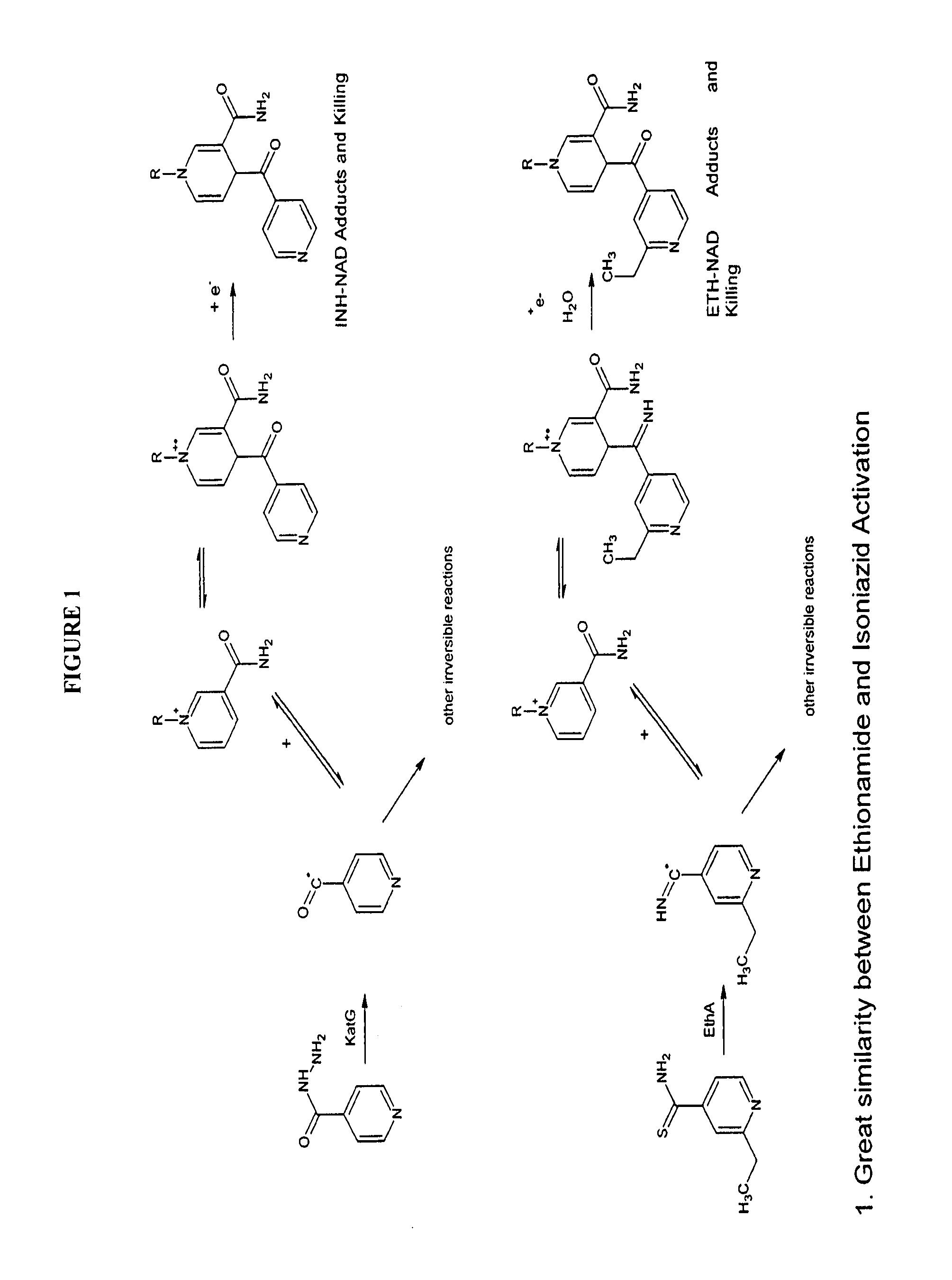 Ethionamide Structure