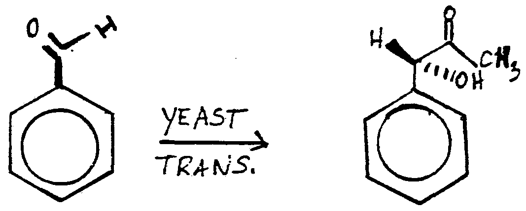 l-pac systhesis This review examines the use of baker's yeast as a reagent in organic synthesis, with an emphasis on the developments of the last 15 years the transformations of. l-pac systhesis This review examines the use of baker's yeast as a reagent in organic synthesis, with an emphasis on the developments of the last 15 years the transformations of.