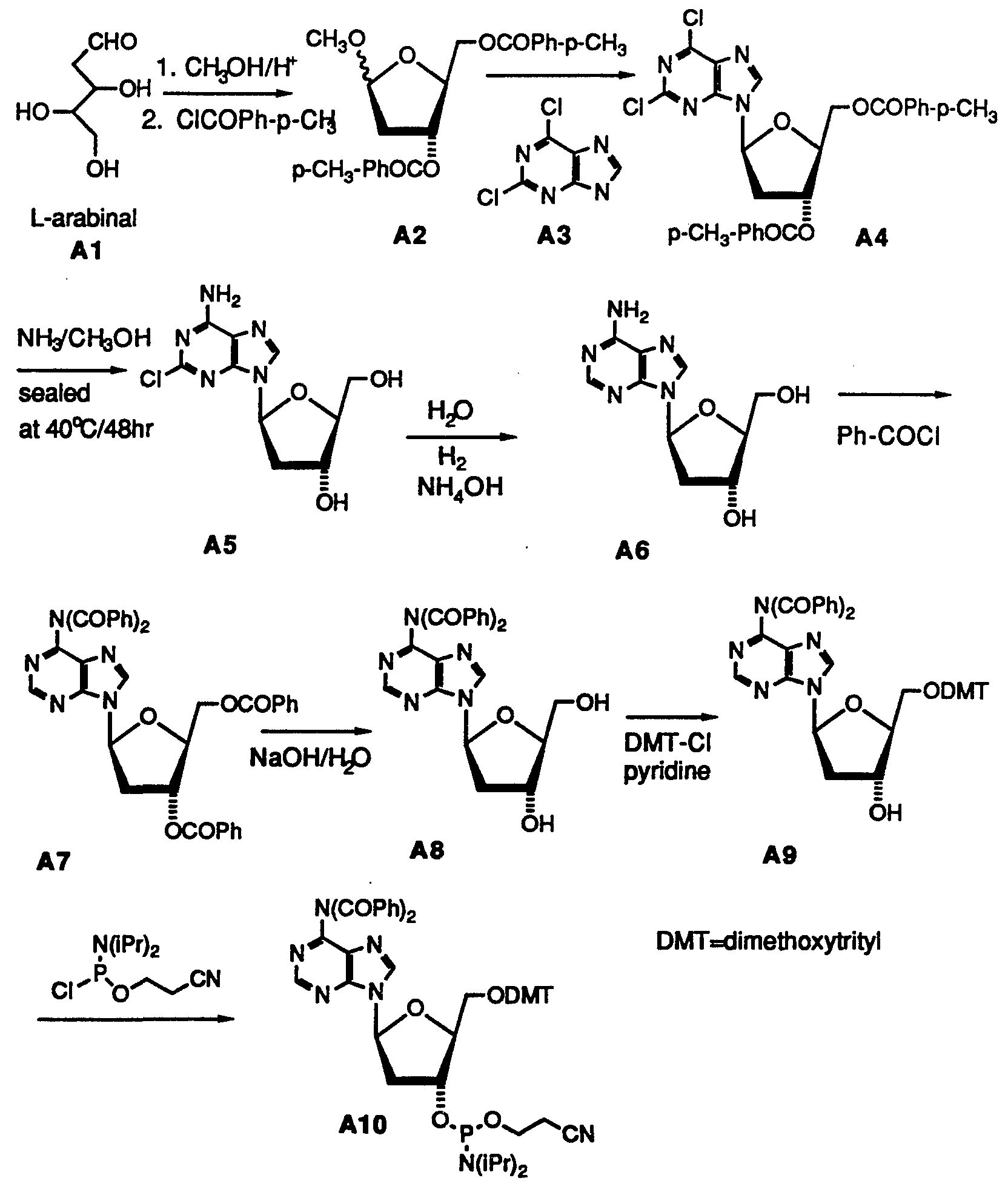 dmt sythesis dmt sythesis