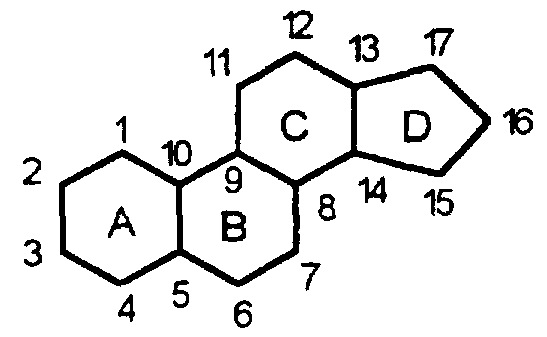 an analysis of the substance calcium in chemistry and biology Calcium is a chemical element with symbol ca and atomic number 20 an alkaline earth metal, the most common calcium compound on earth is calcium carbonate, found in 4 uses 5 biological and pathological role 6 safety 7 see also. an analysis of the substance calcium in chemistry and biology Calcium is a chemical element with symbol ca and atomic number 20 an alkaline earth metal, the most common calcium compound on earth is calcium carbonate, found in 4 uses 5 biological and pathological role 6 safety 7 see also.