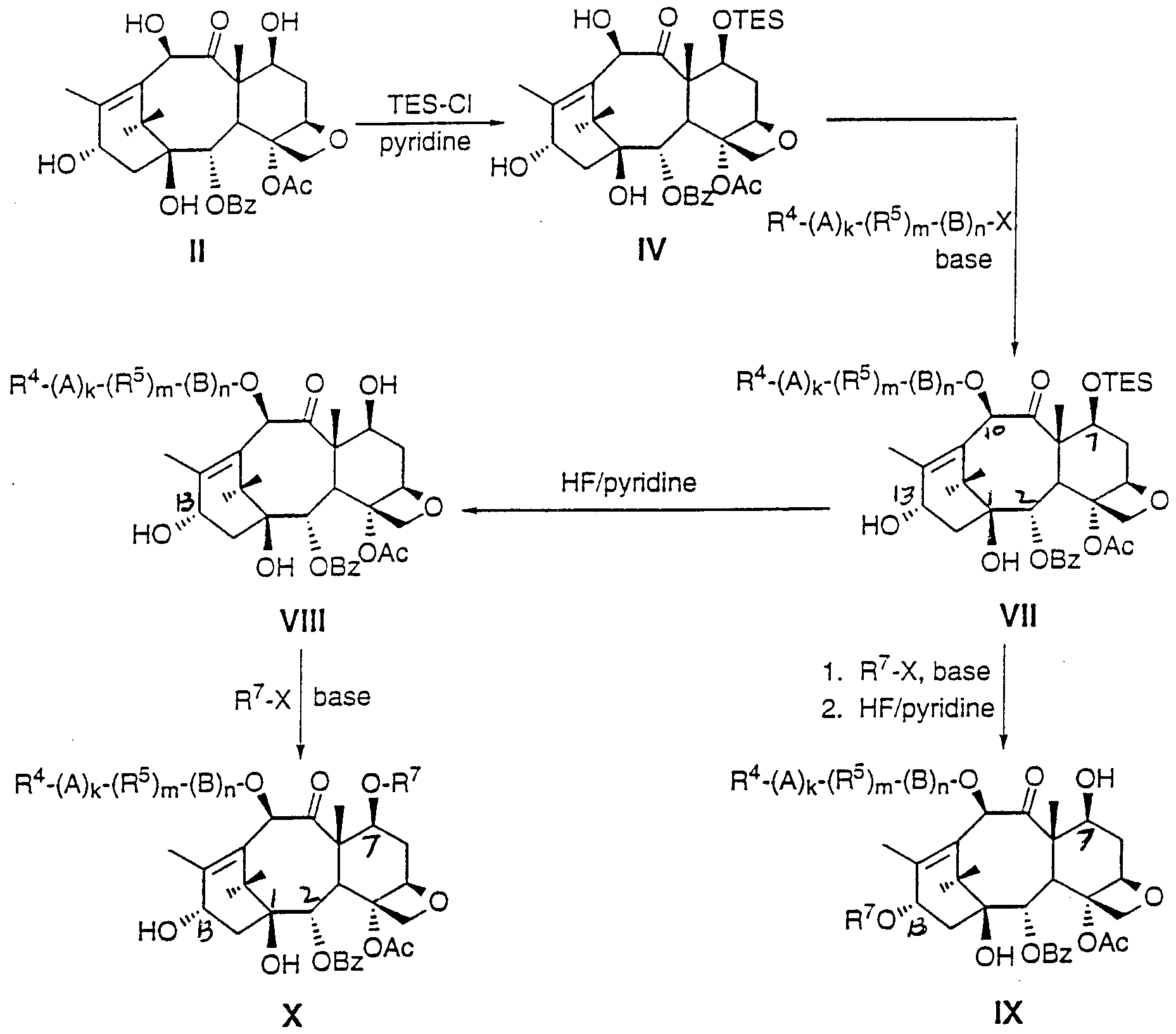 new and efficient approaches to the semisynthesis of taxol new and efficient approaches to the semisynthesis of taxol