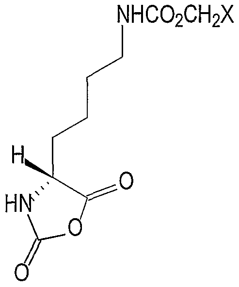 Patent WO2004043995A2 - Process for the preparation of Patent WO2004043995A2 - Process for the preparation of