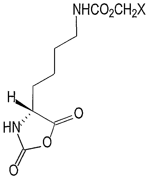 Patent WO2004043995A2 - Process for the preparation of Patent WO2004043995A2 - Process for the preparation of