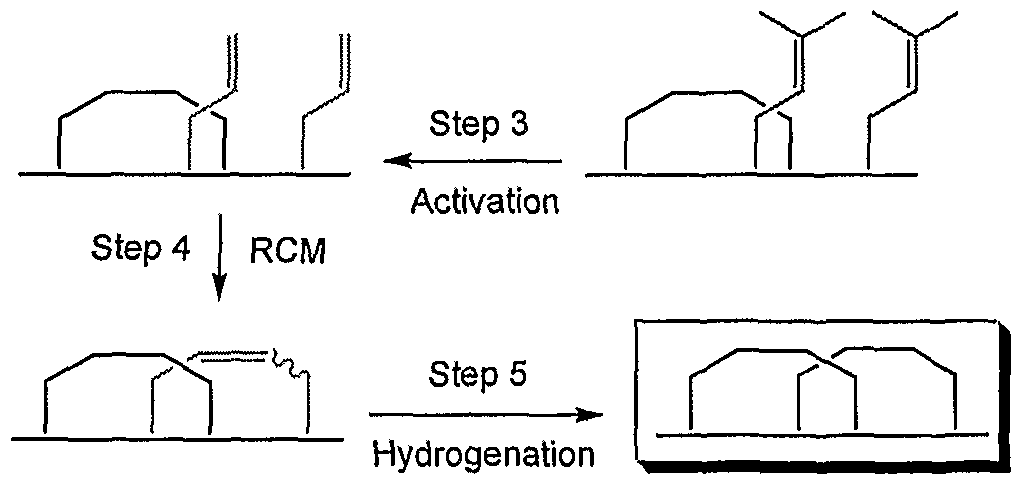 Trisubstituted olefin metathesis