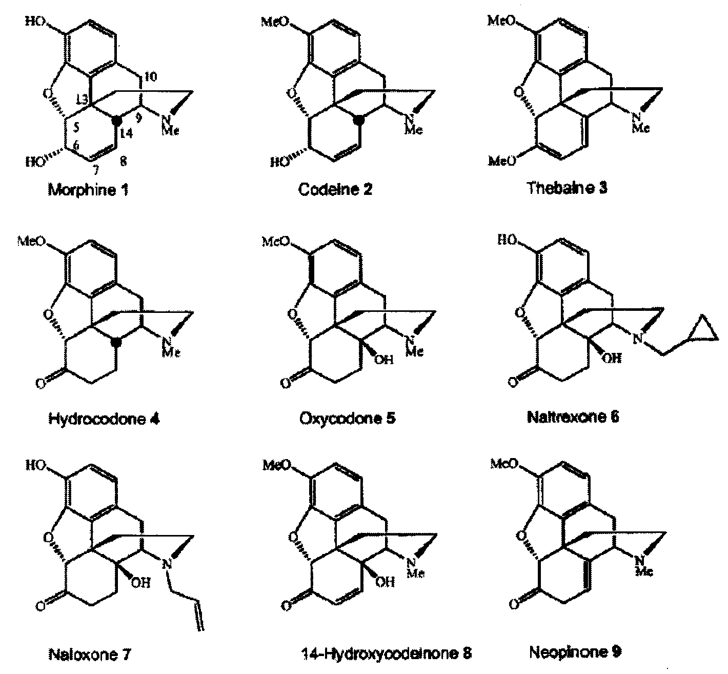 OXYCONTIN (OXYCODONE HYDROCHLORIDE).