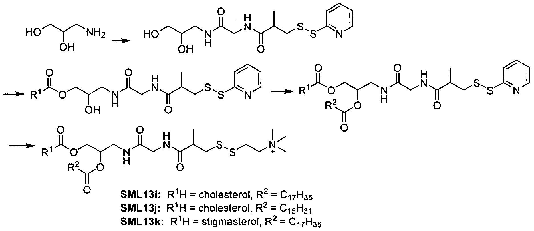fatty acid sysnthesis fatty acid sysnthesis