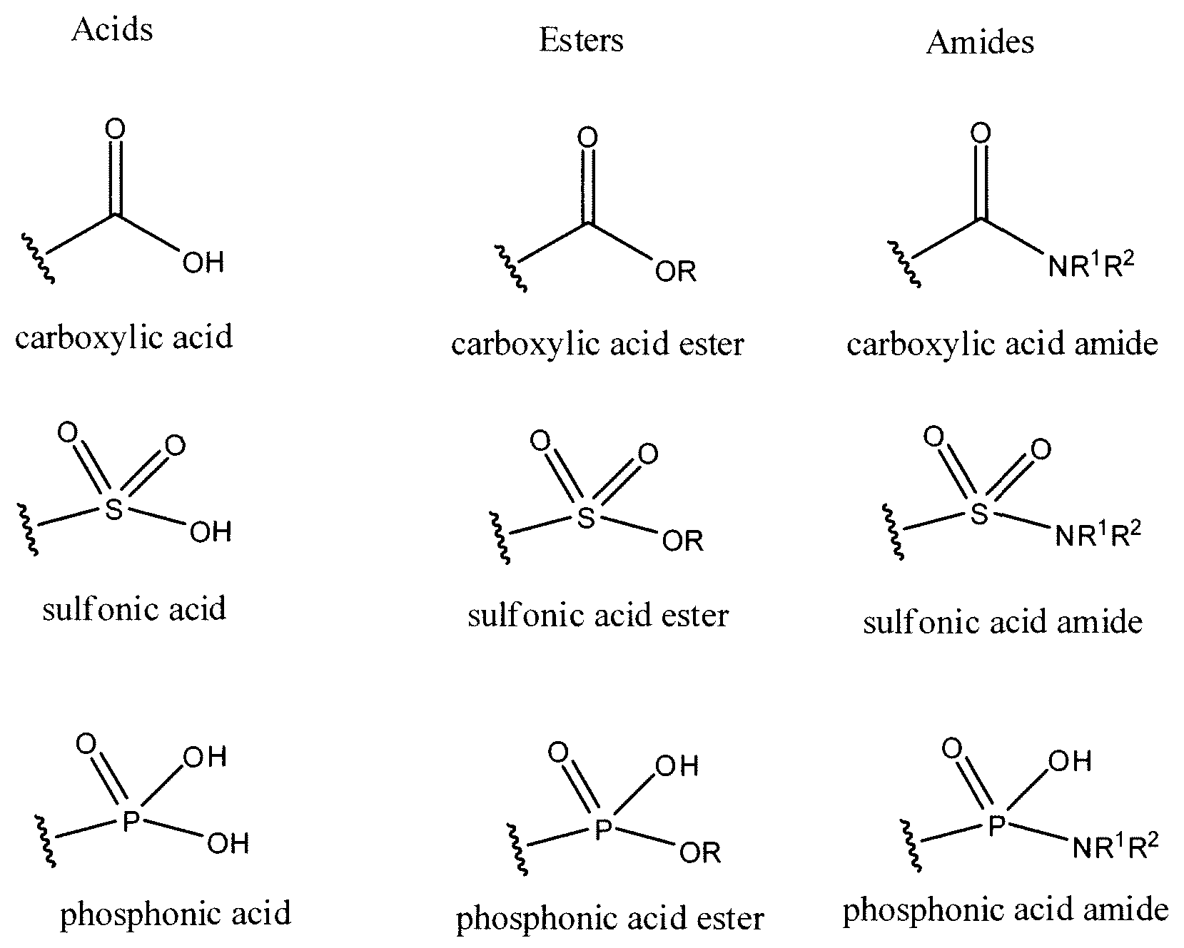 ester functional group