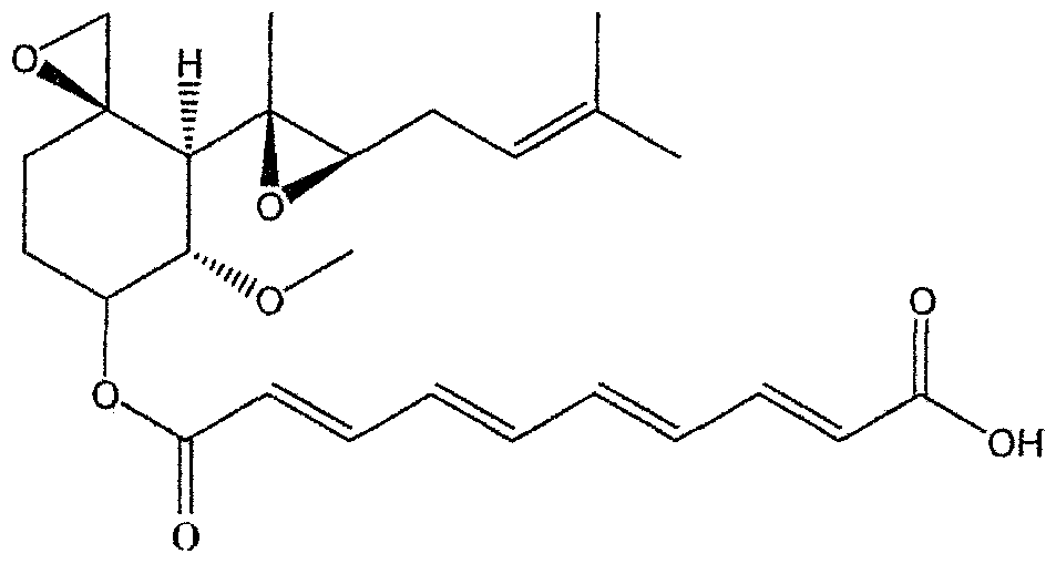 authantic viagra authantic viagra