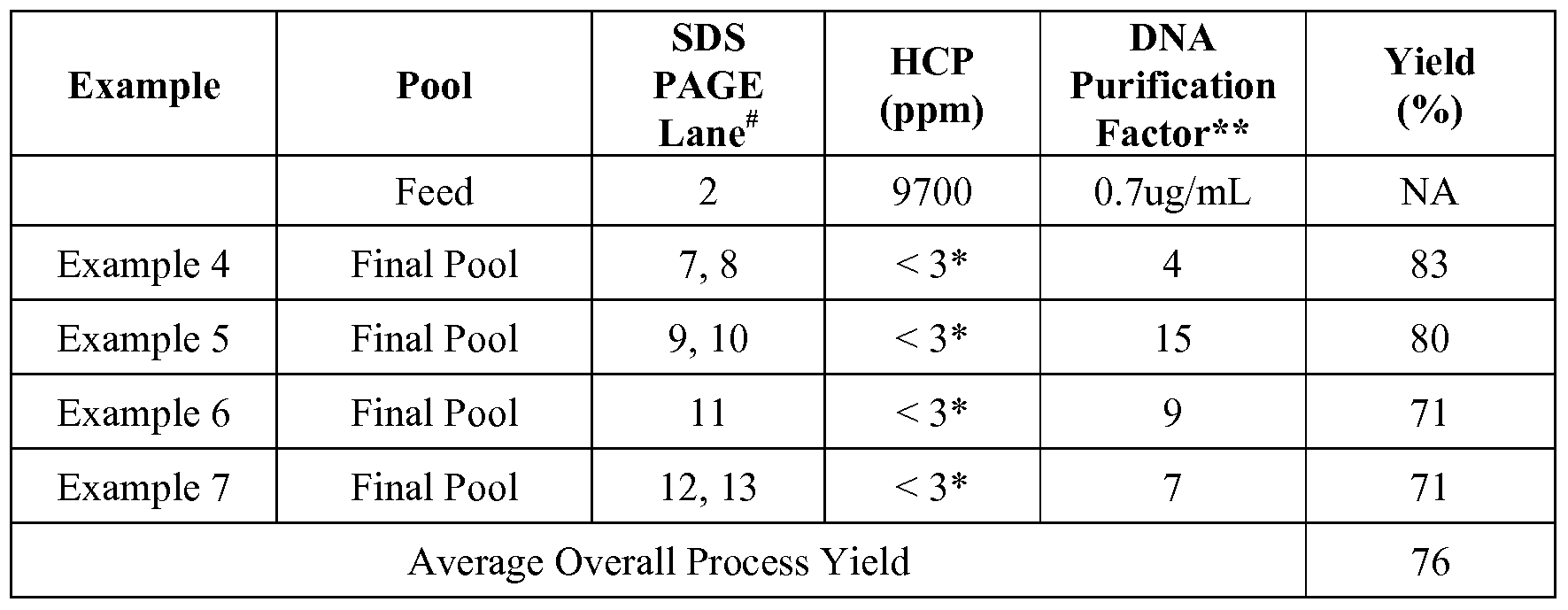 Western blot protocol thesis